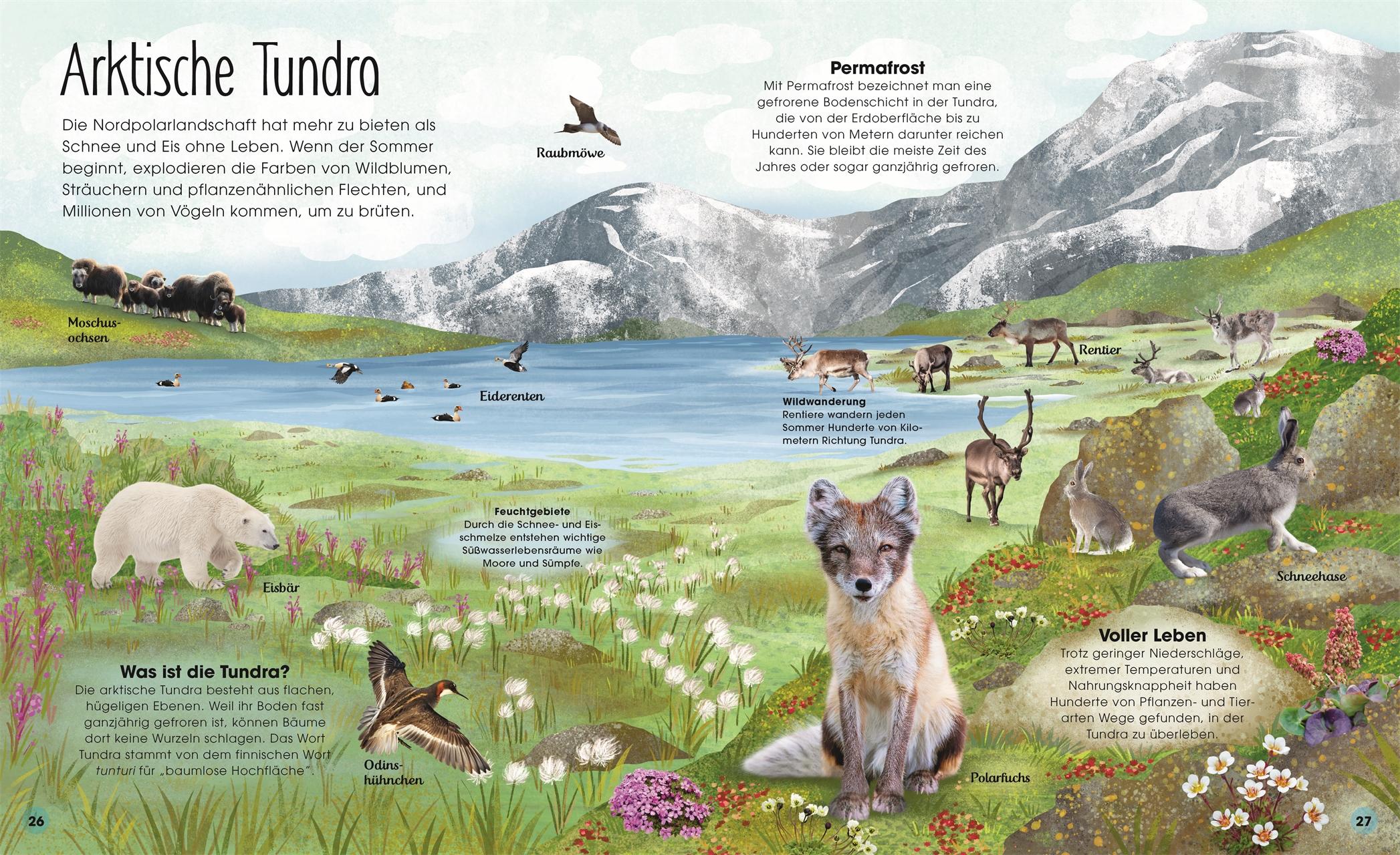 Beispielinhalt (Bild) Welt aus Eis