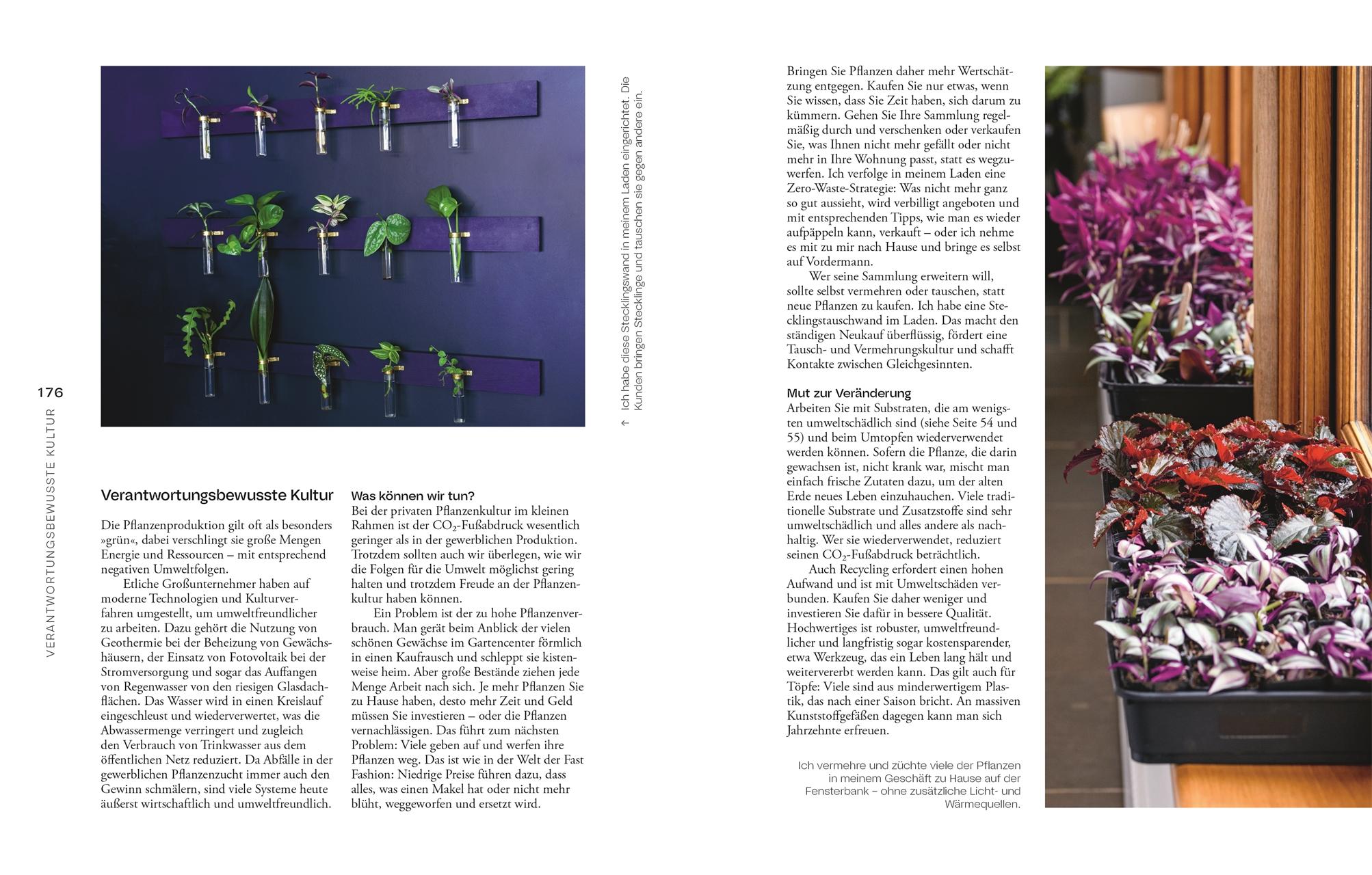 Beispielinhalt (Bild) Urban Jungle Style