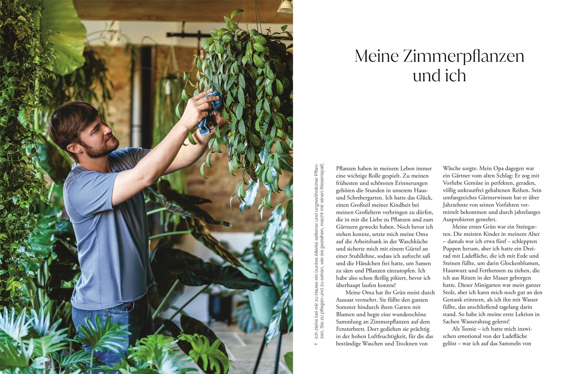 Beispielinhalt (Bild) Urban Jungle Style