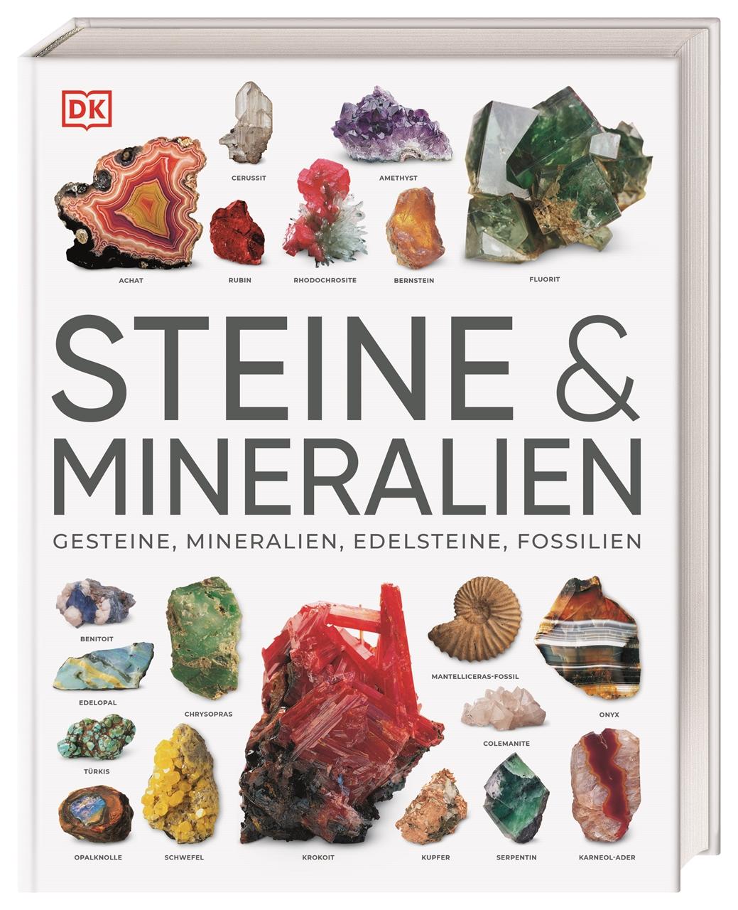 Vorderes Coverbild Steine & Mineralien