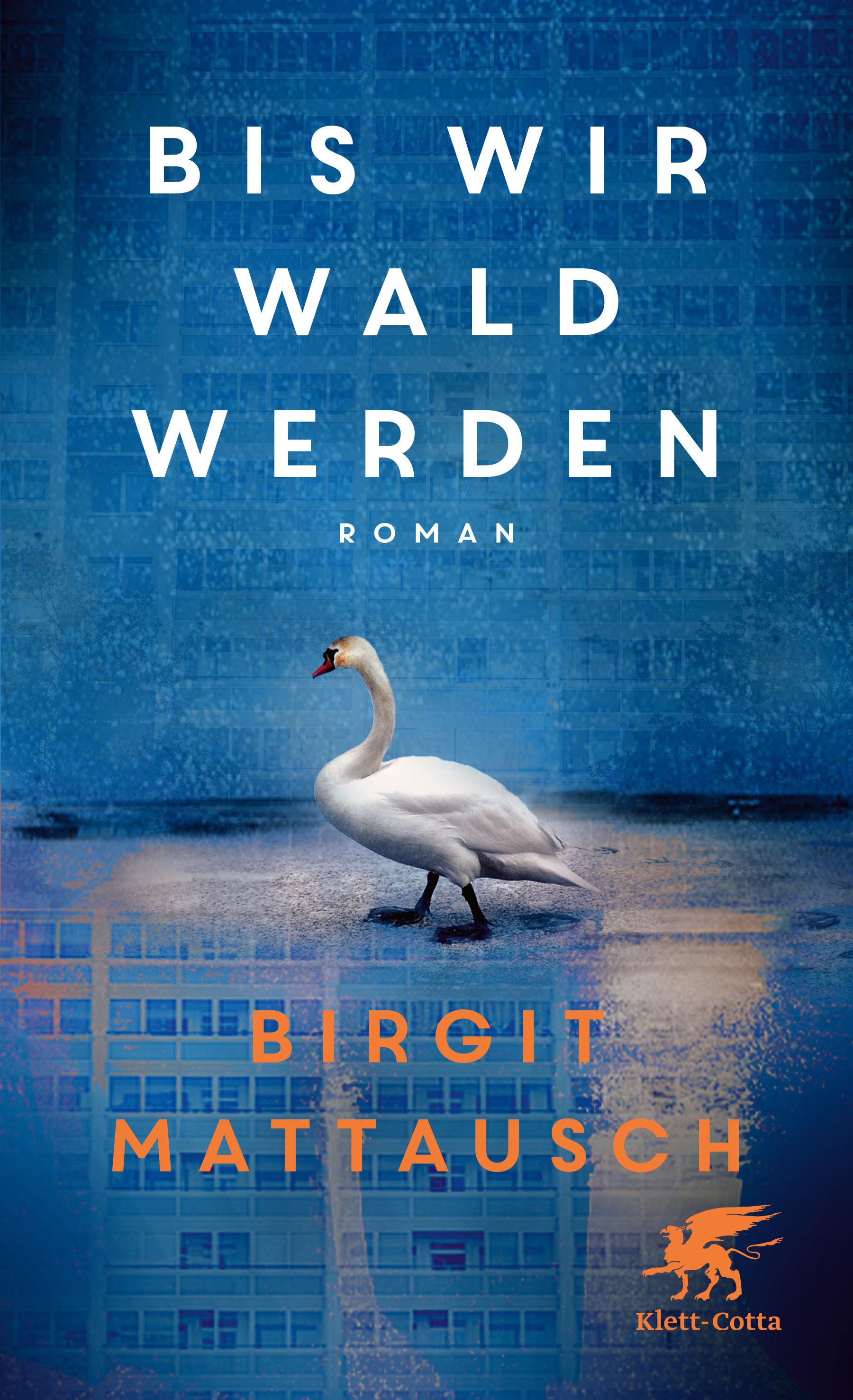 Vorderes Coverbild Bis wir Wald werden