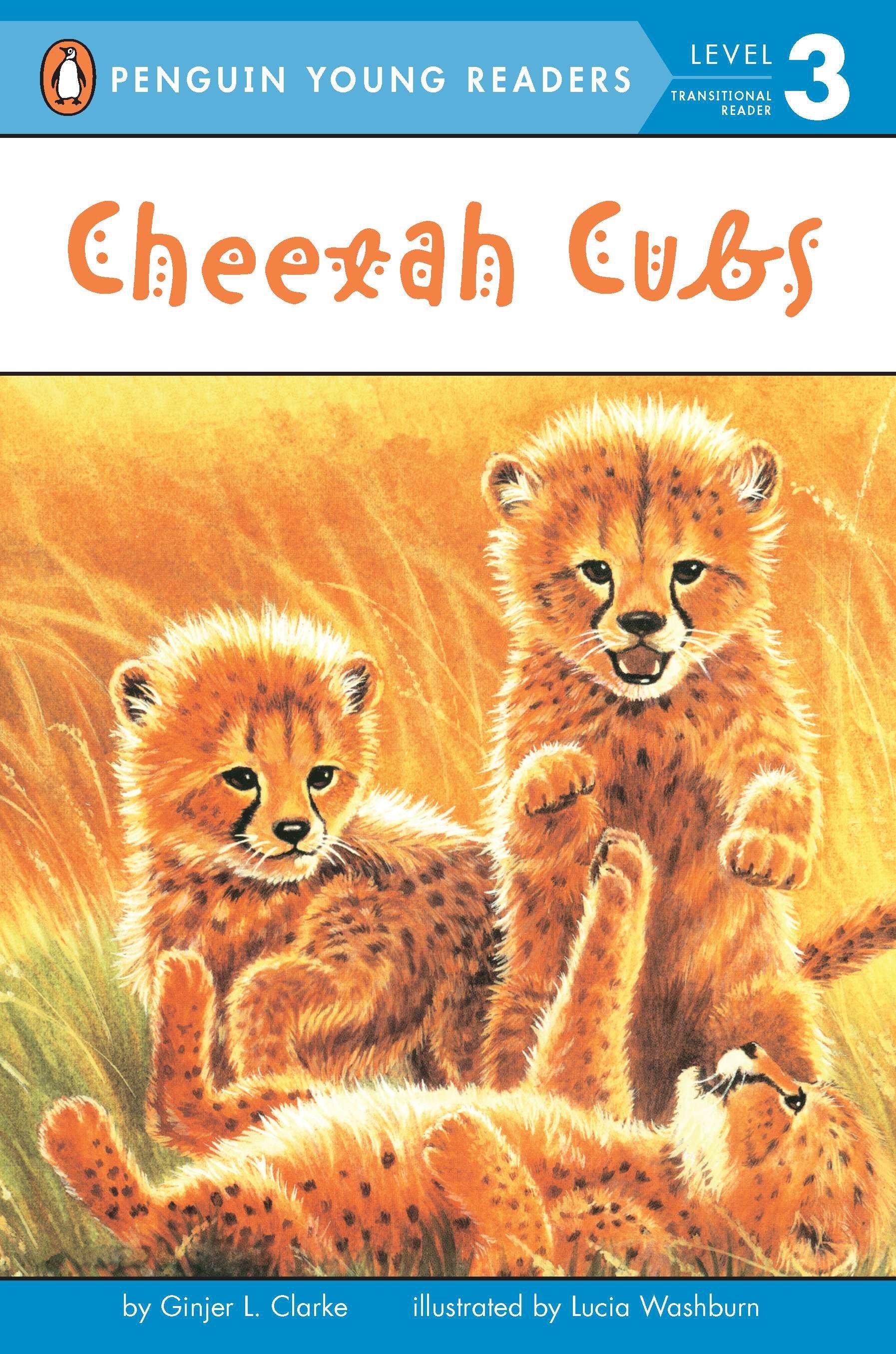 Vorderes Coverbild Cheetah Cubs