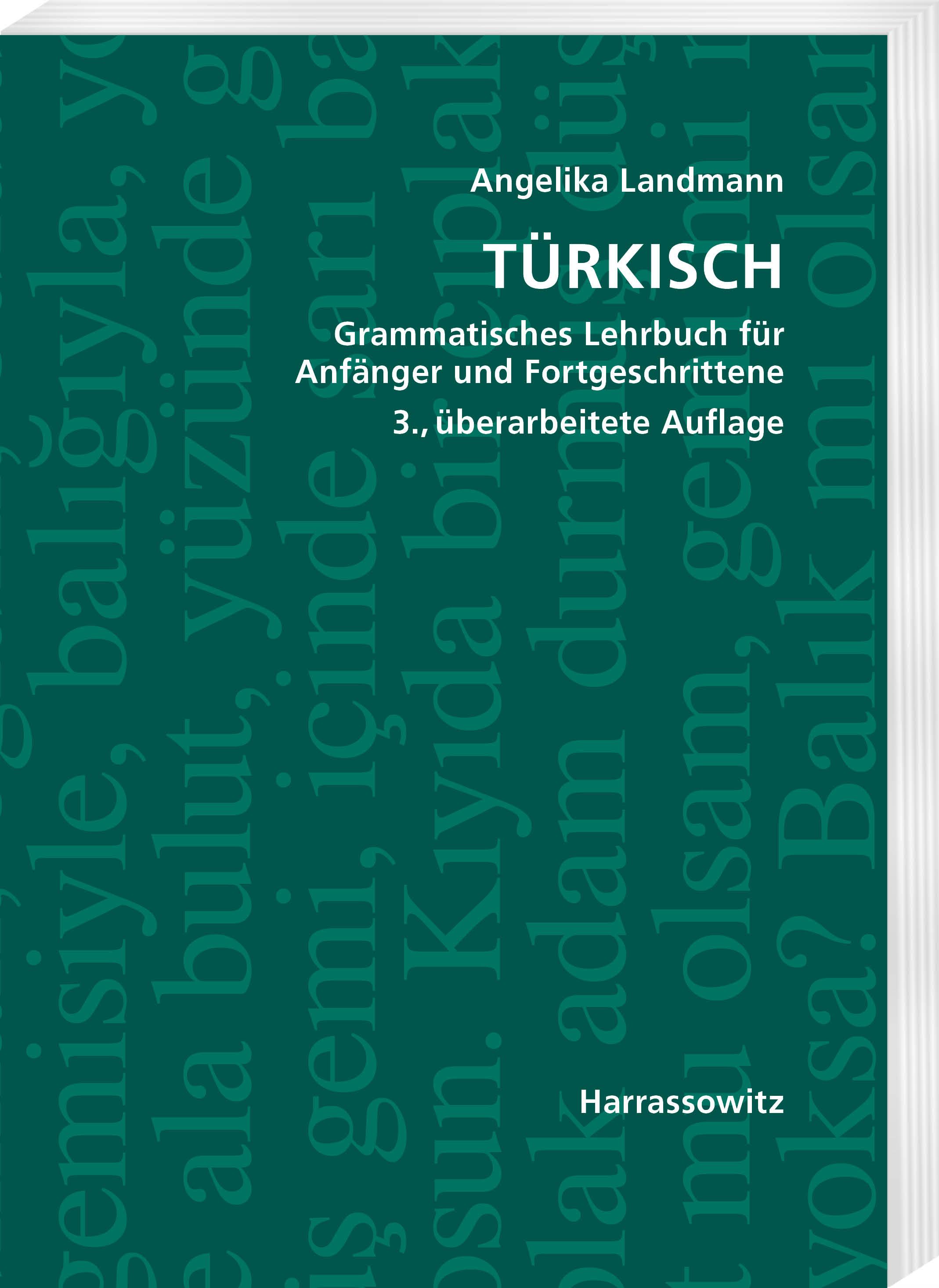 Vorderes Coverbild Türkisch Grammatisches Lehrbuch für Anfänger und Fortgeschrittene