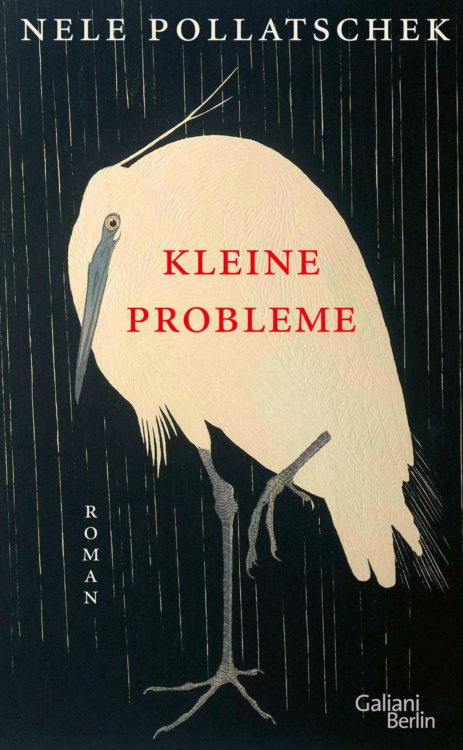 Vorderes Coverbild Kleine Probleme