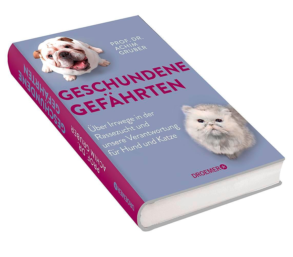 Beispielinhalt (Bild) Geschundene Gefährten