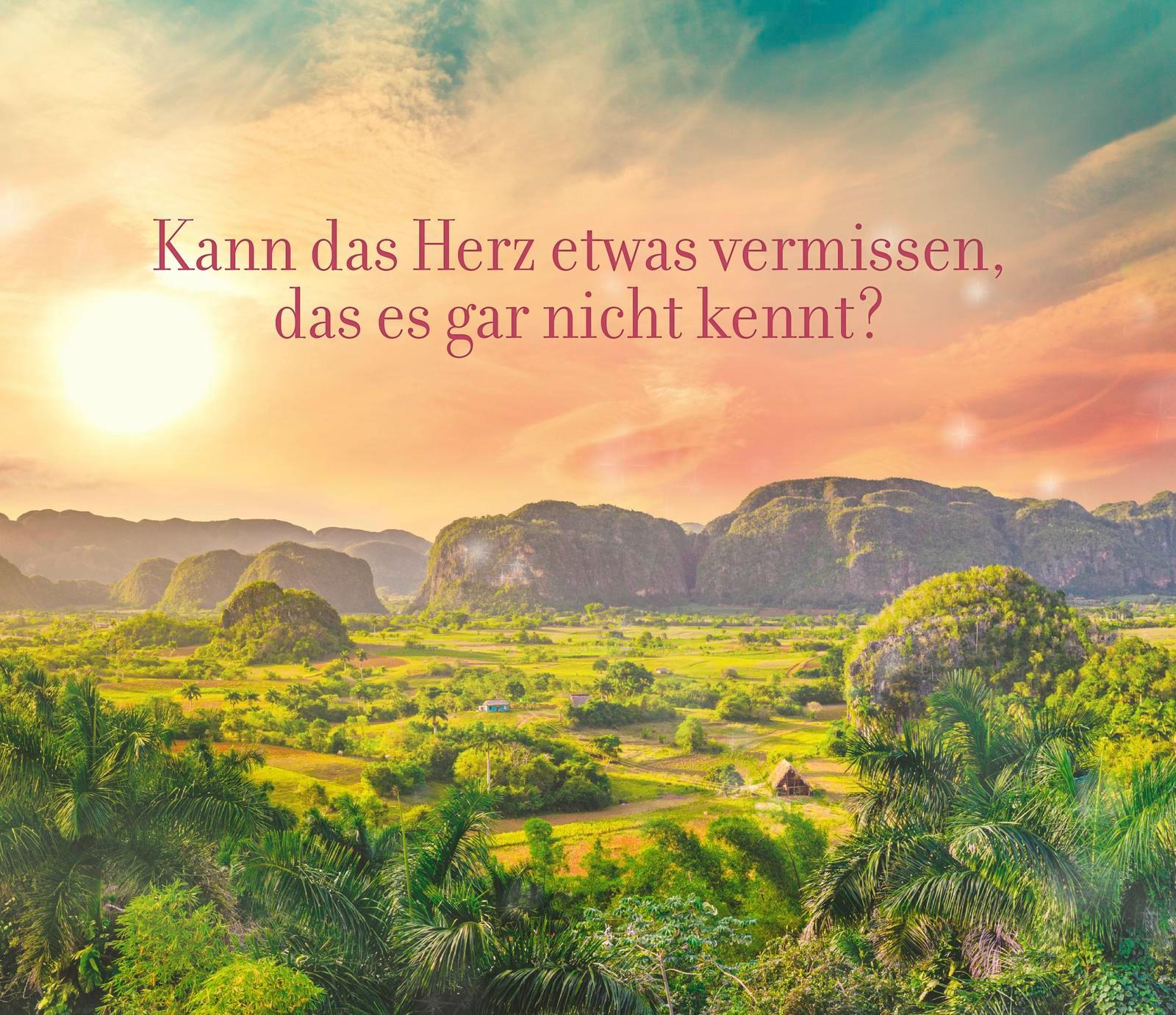 Beispielinhalt (Bild) Die vermisste Tochter