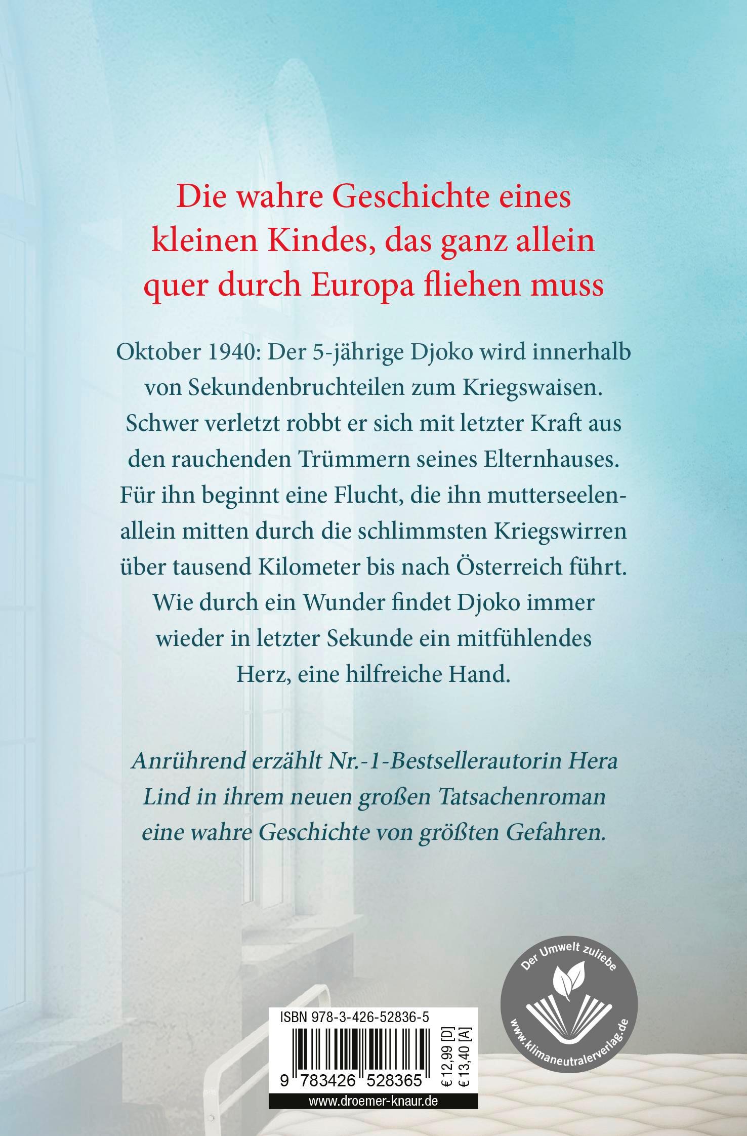 Rückseitencover Das einzige Kind