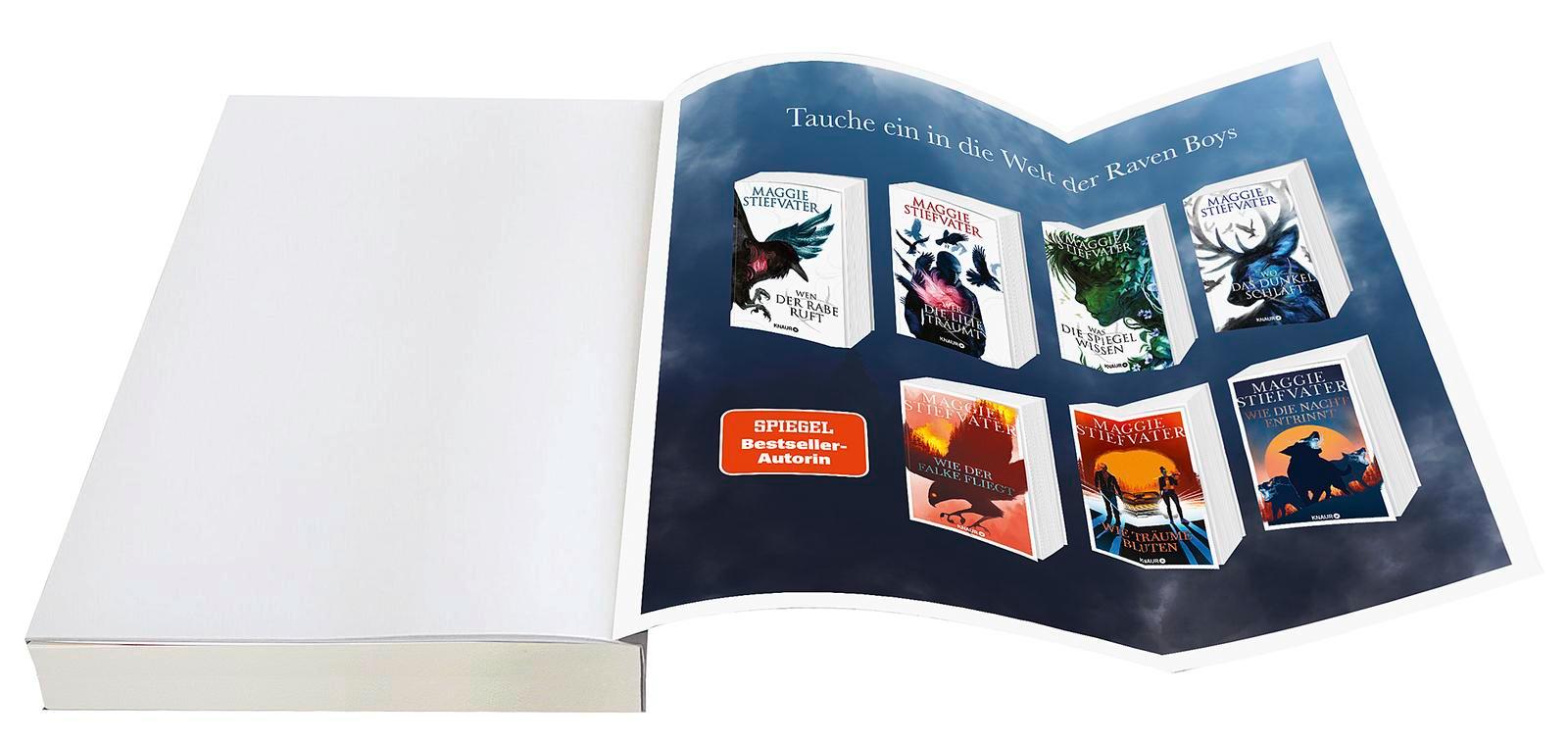 Beispielinhalt (Bild) Wie die Nacht entrinnt