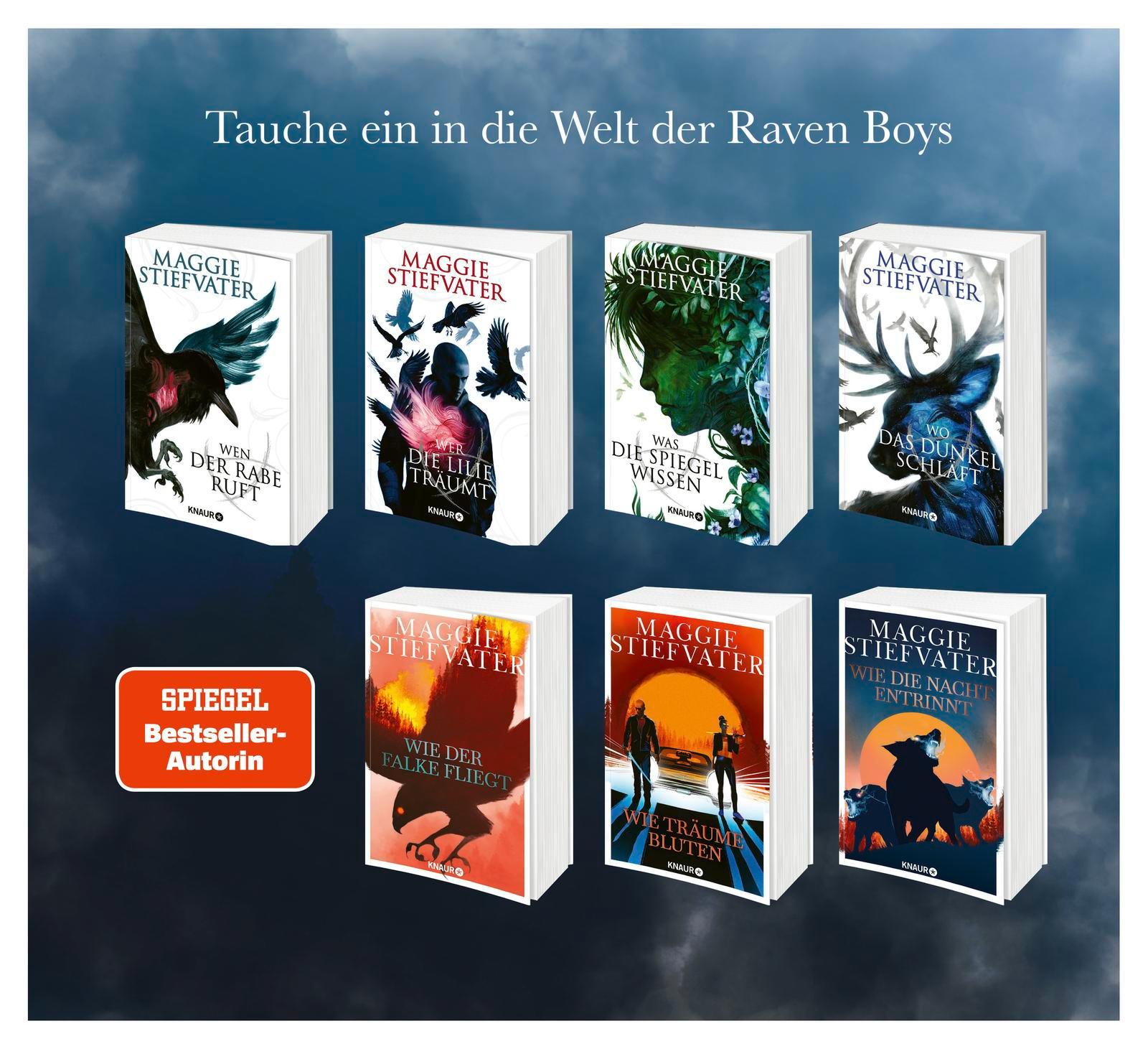 Beispielinhalt (Bild) Wie die Nacht entrinnt