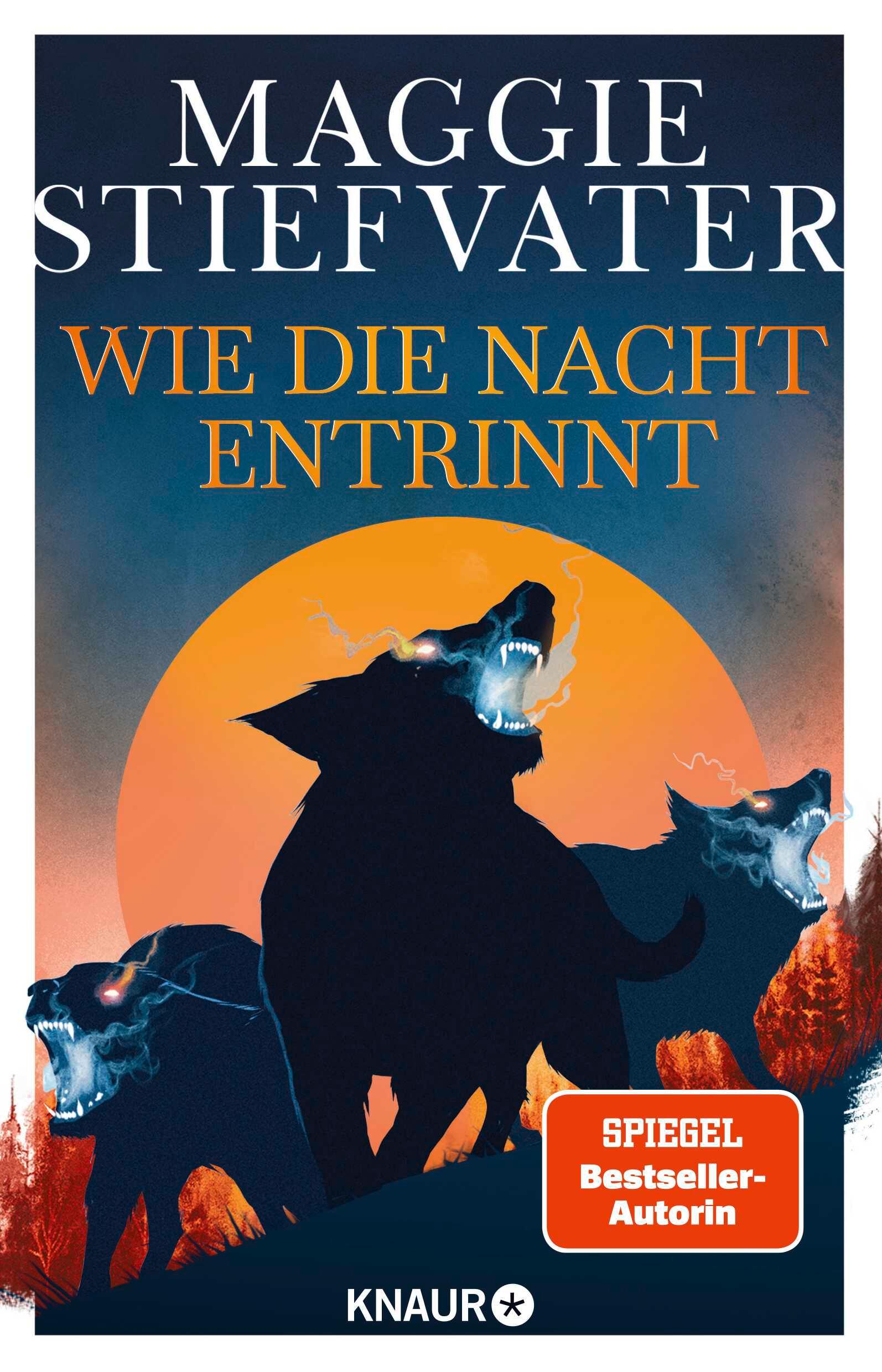 Vorderes Coverbild Wie die Nacht entrinnt