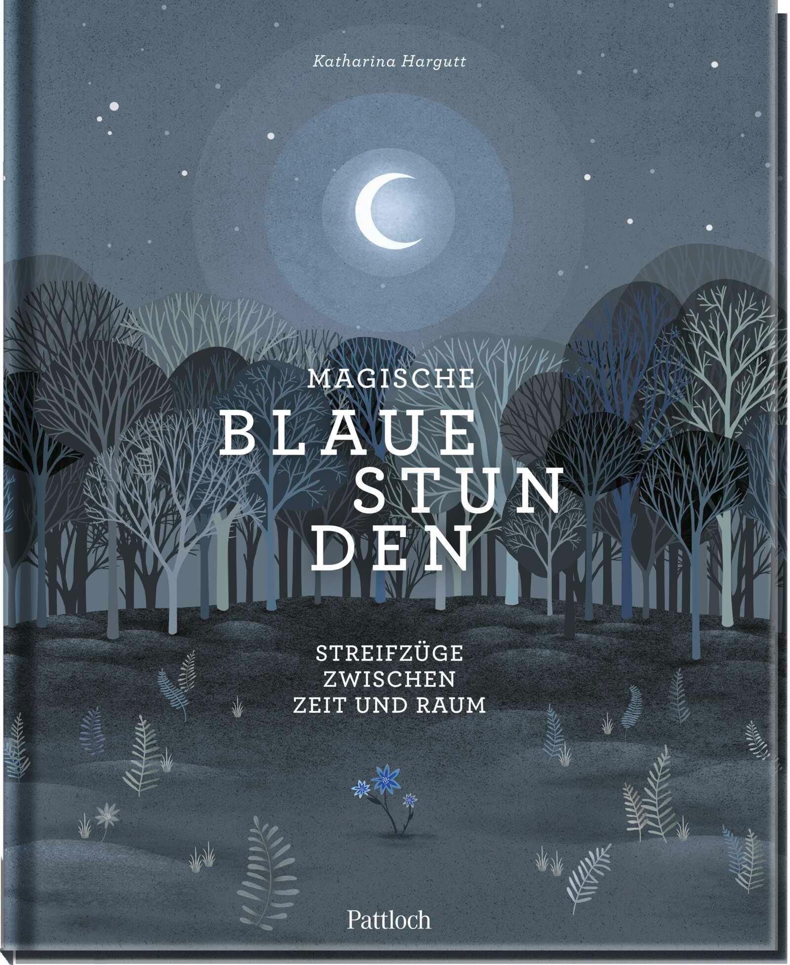 Vorderes Coverbild Magische blaue Stunden