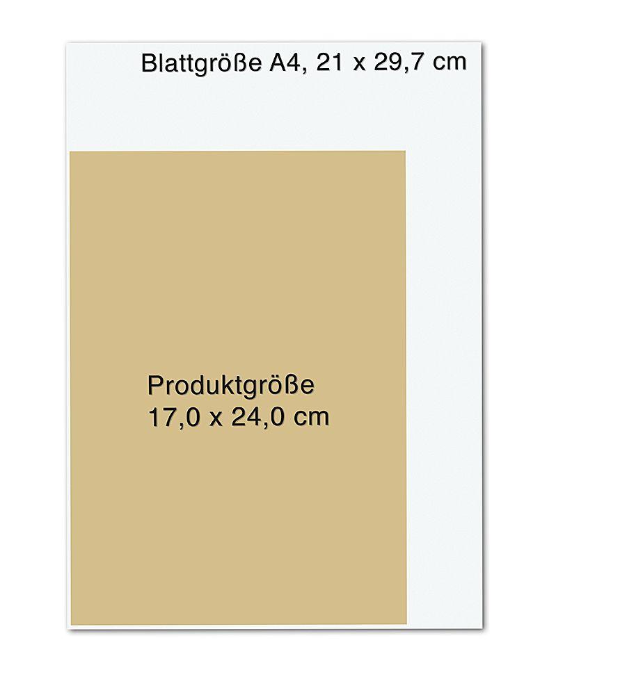 Beispielinhalt (Bild) 7 Minuten am Tag endlich kraftvoll und gelassen