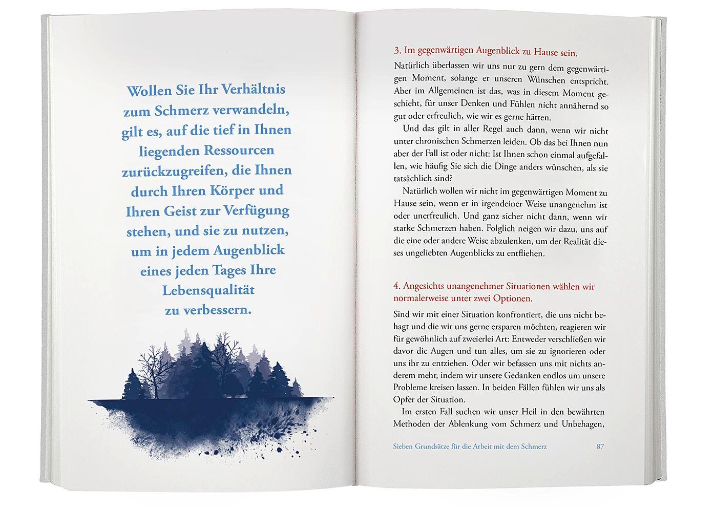 Beispielinhalt (Bild) Achtsam mit dem Schmerz