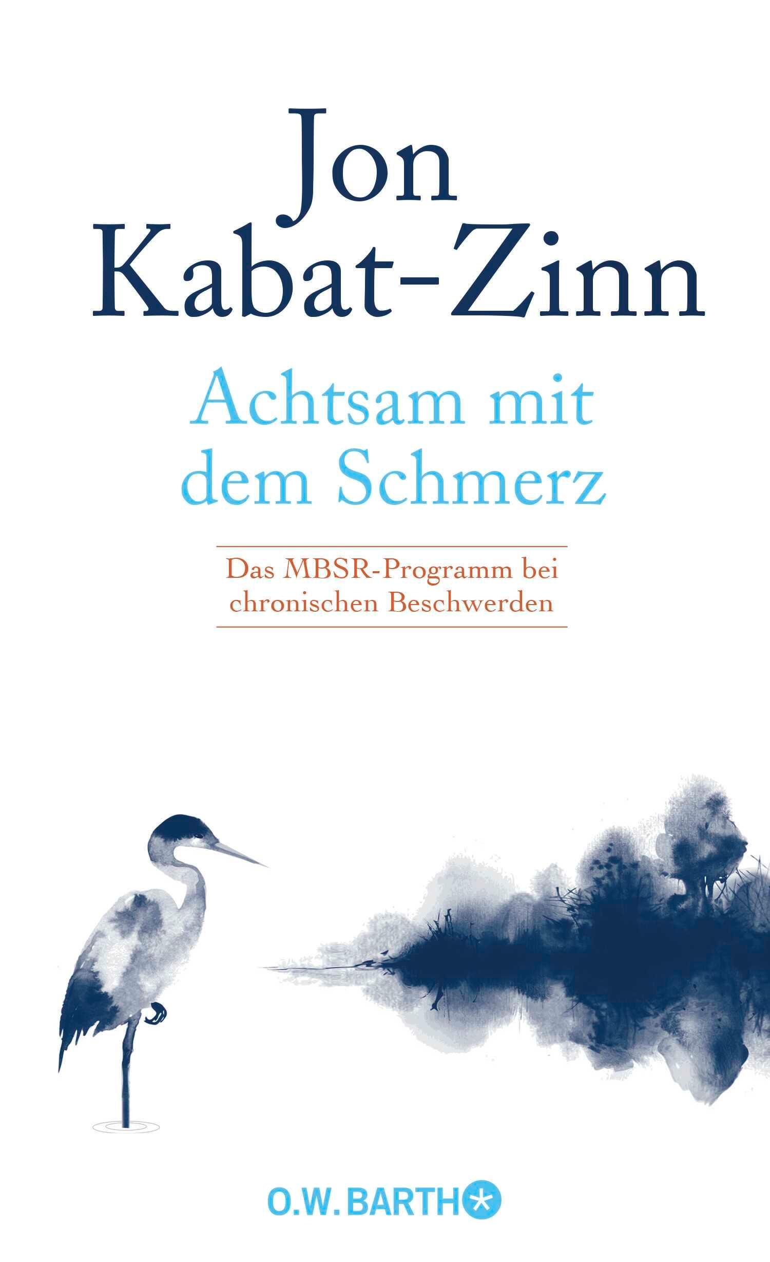 Vorderes Coverbild Achtsam mit dem Schmerz