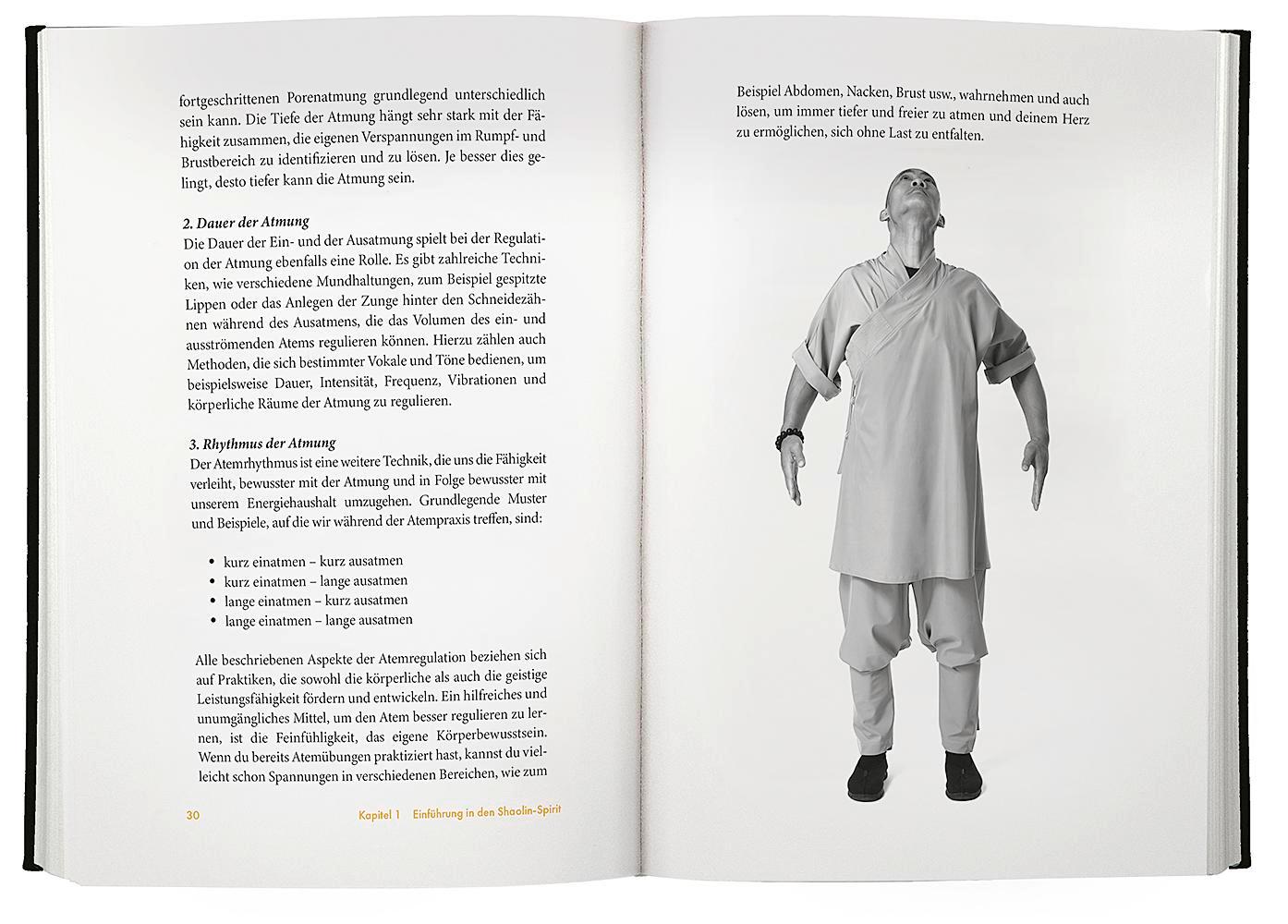Beispielinhalt (Bild) Shaolin Spirit