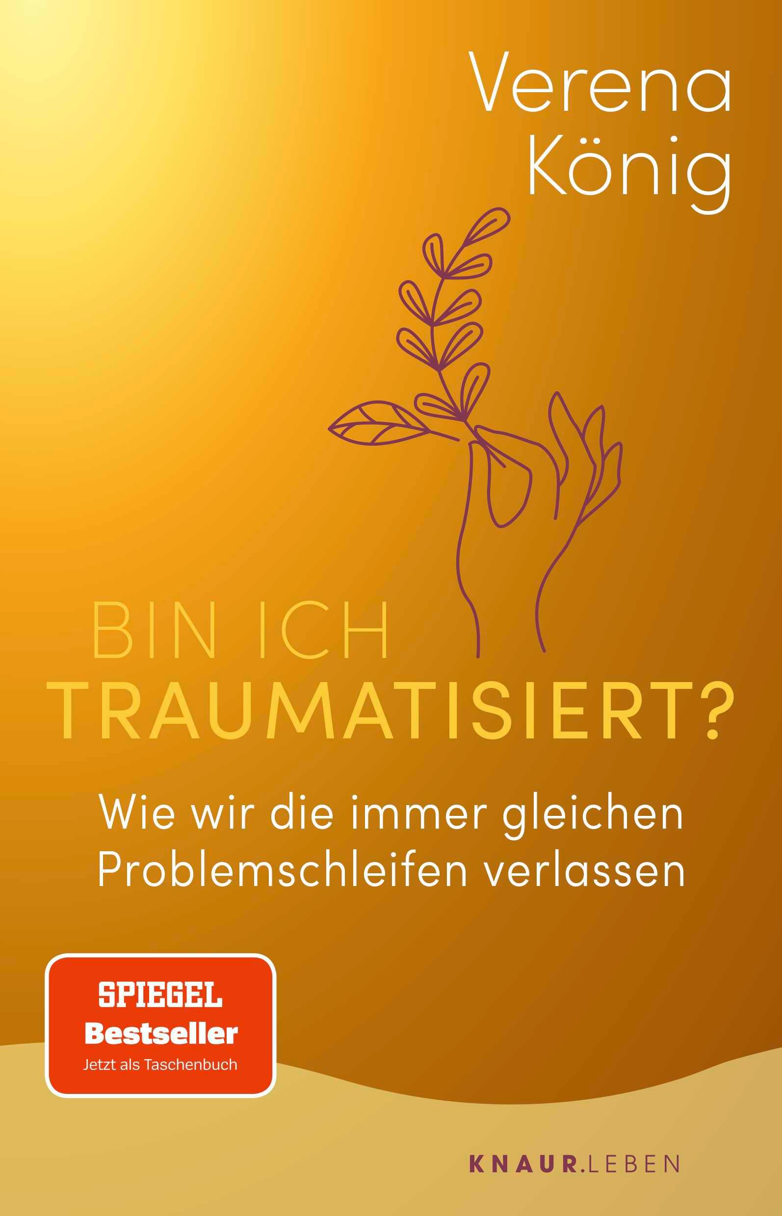 Vorderes Coverbild Bin ich traumatisiert?