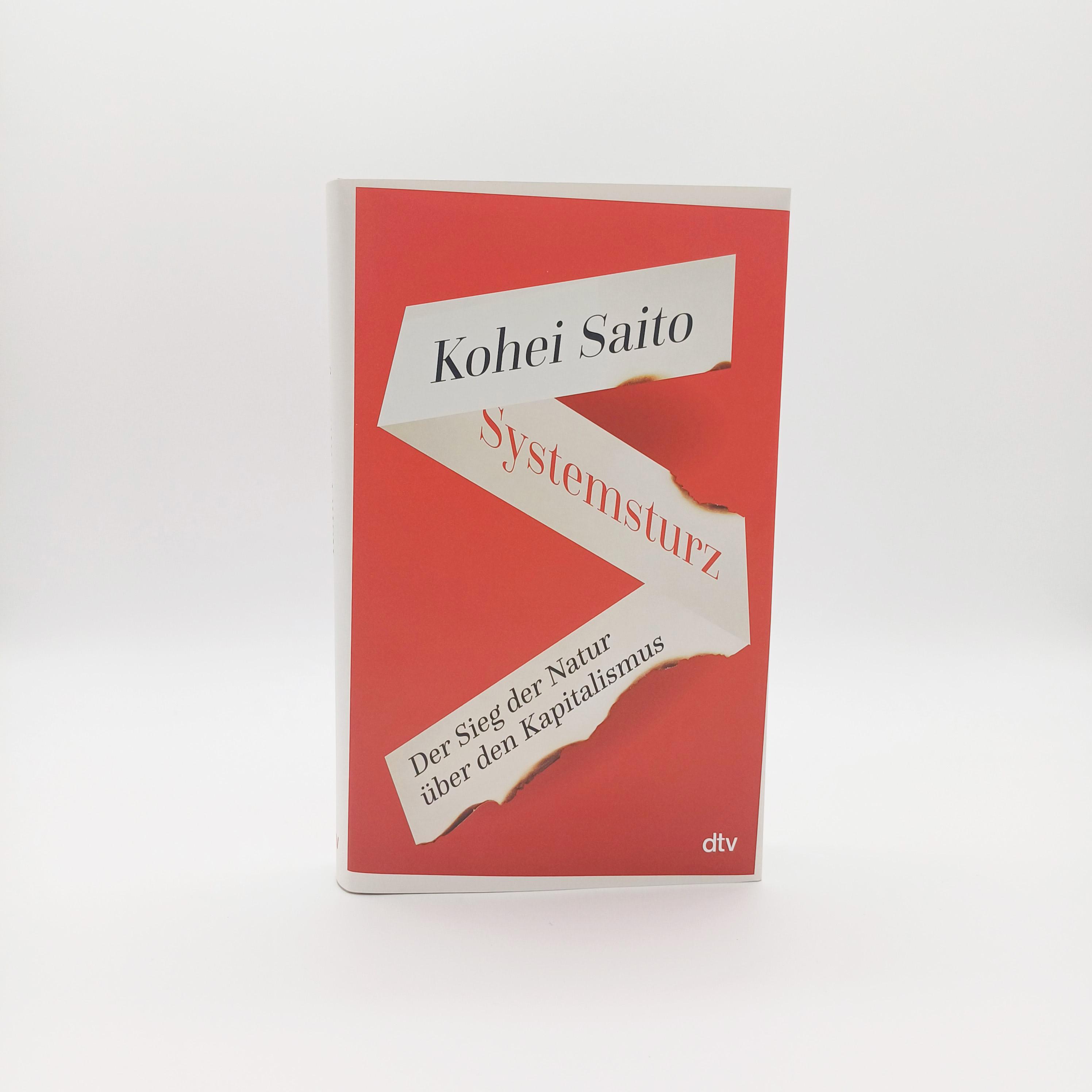 Beispielinhalt (Bild) Systemsturz