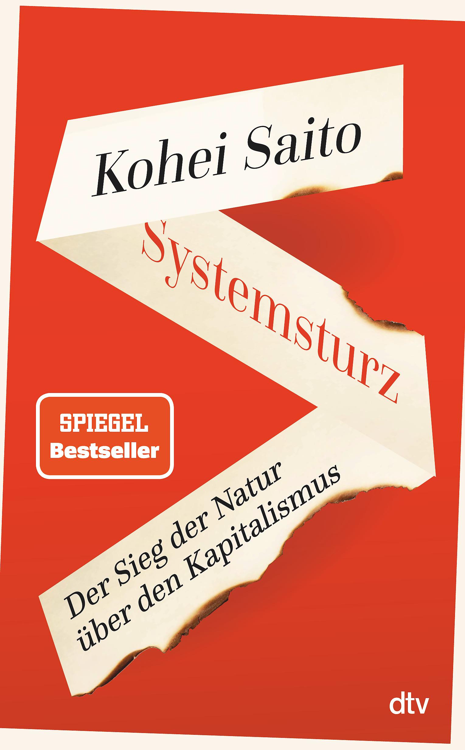 Vorderes Coverbild Systemsturz