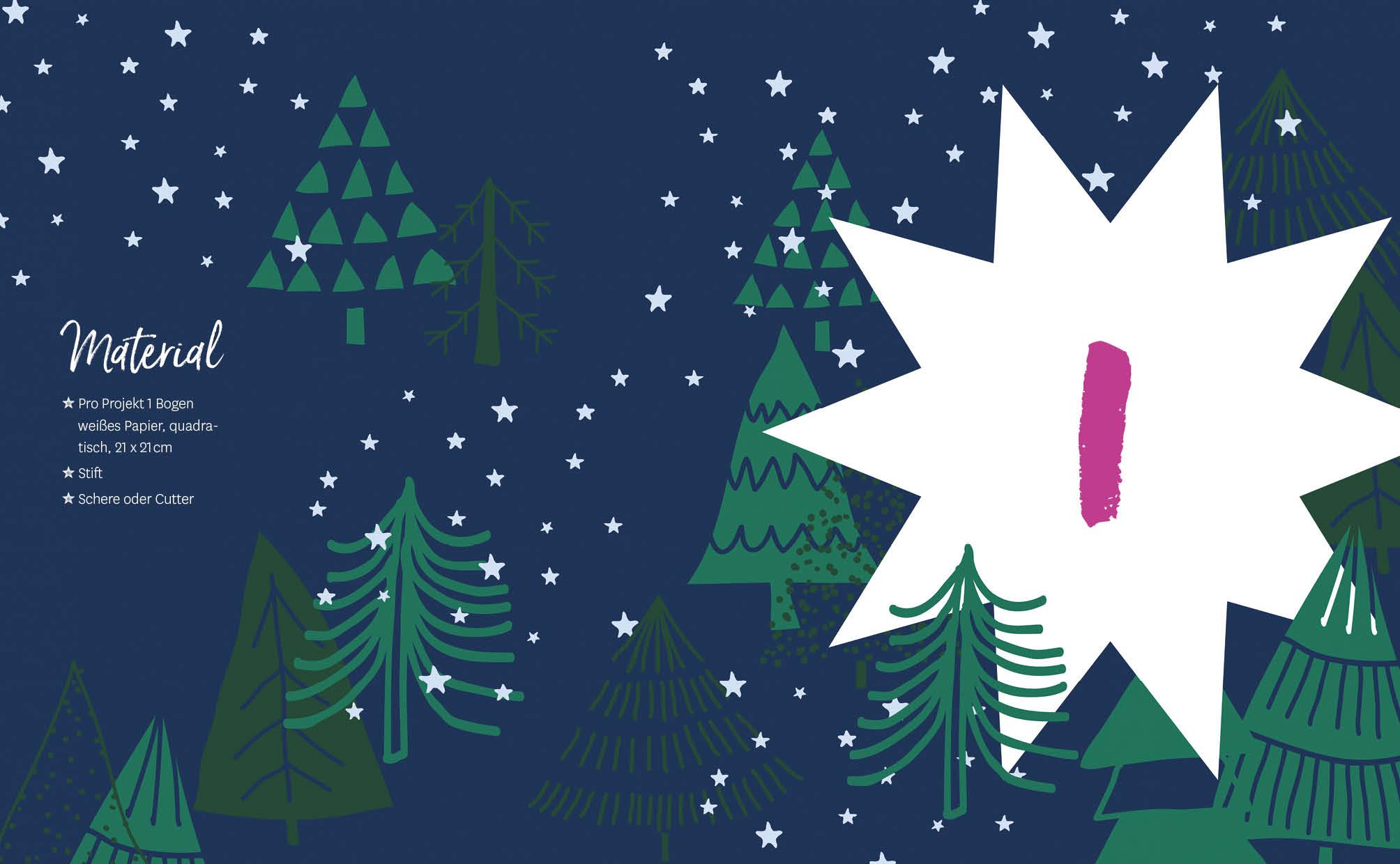 Beispielinhalt (Bild) Adventskalender Weihnachtssterne