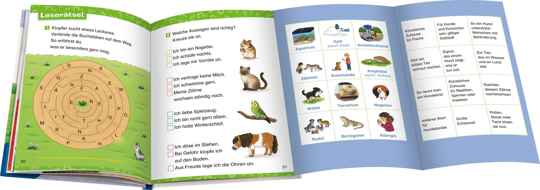Beispielinhalt (Bild) Wieso? Weshalb? Warum? Erstleser, Band 12 - Haustiere