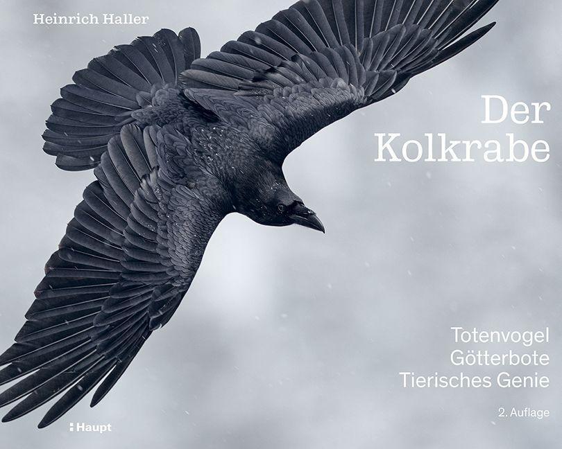 Vorderes Coverbild Der Kolkrabe - Totenvogel, Götterbote, tierisches Genie