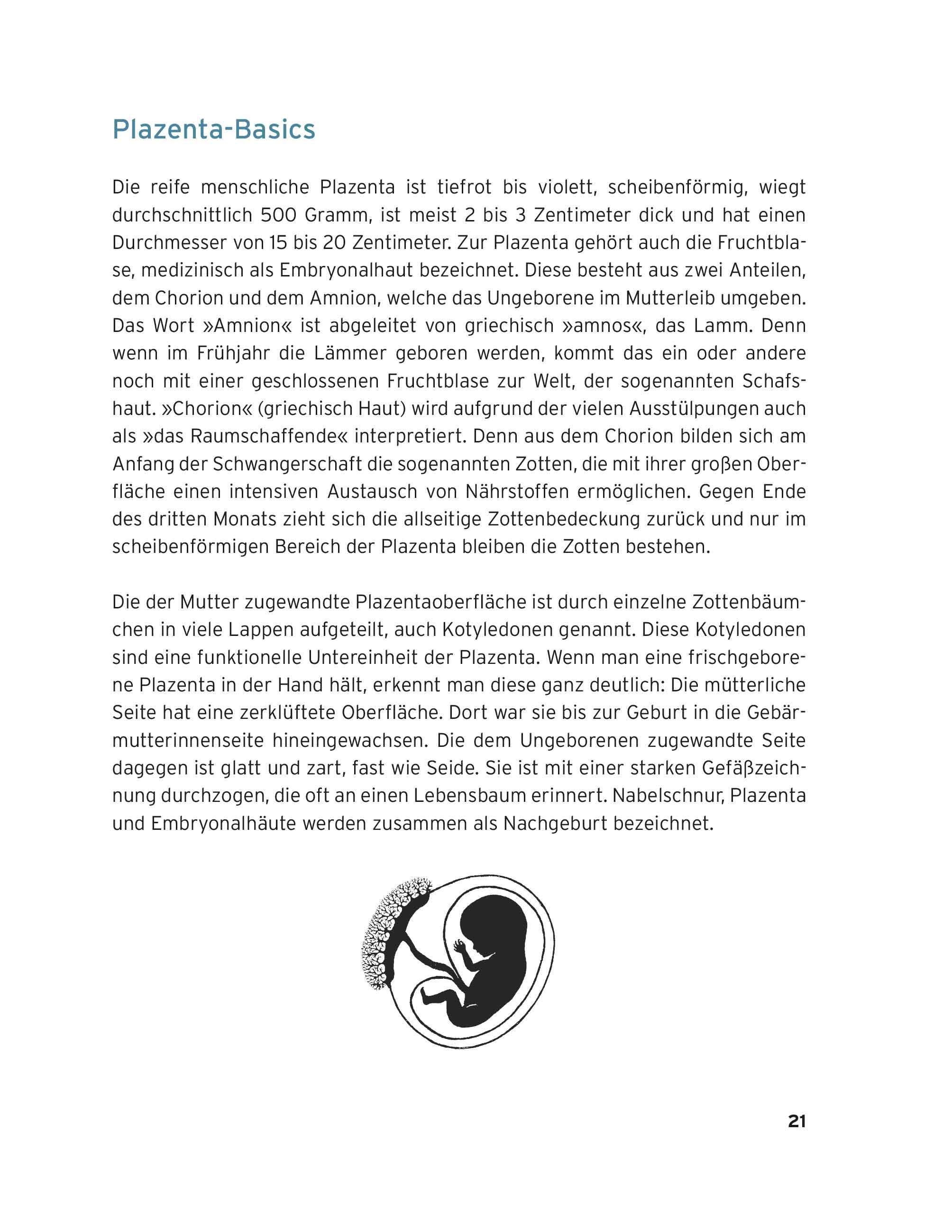 Beispielinhalt (Bild) Plazenta Power