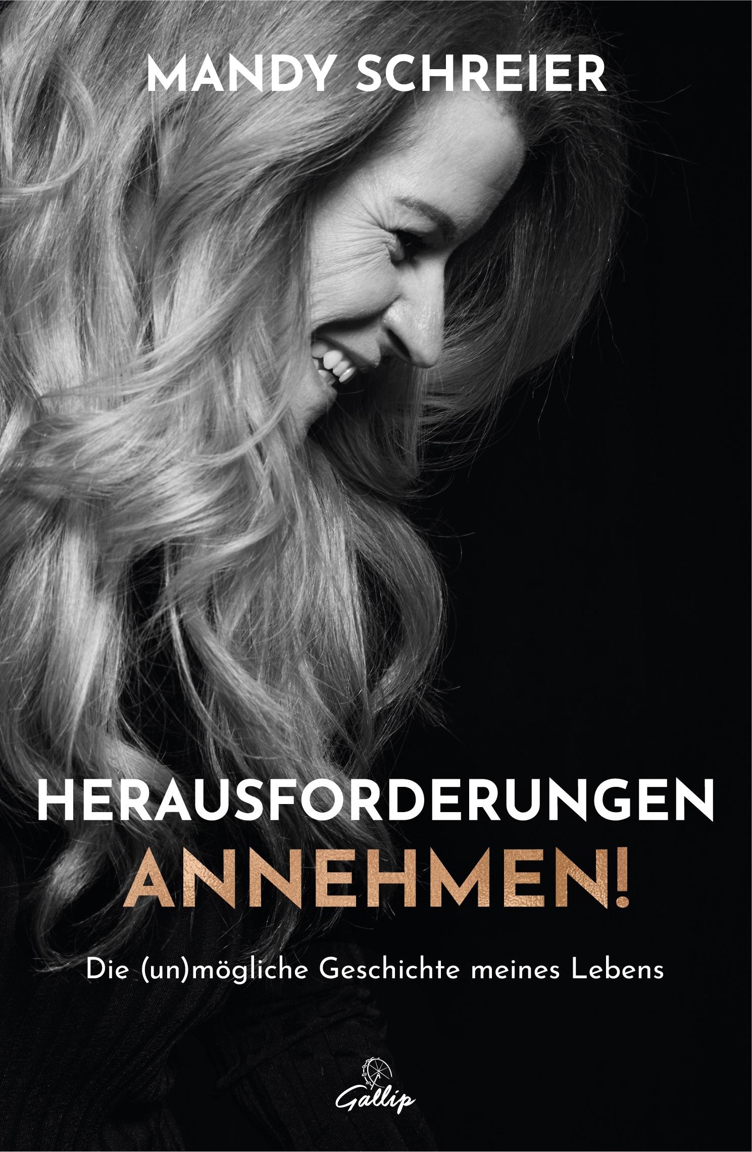 Vorderes Coverbild Herausforderungen annehmen!