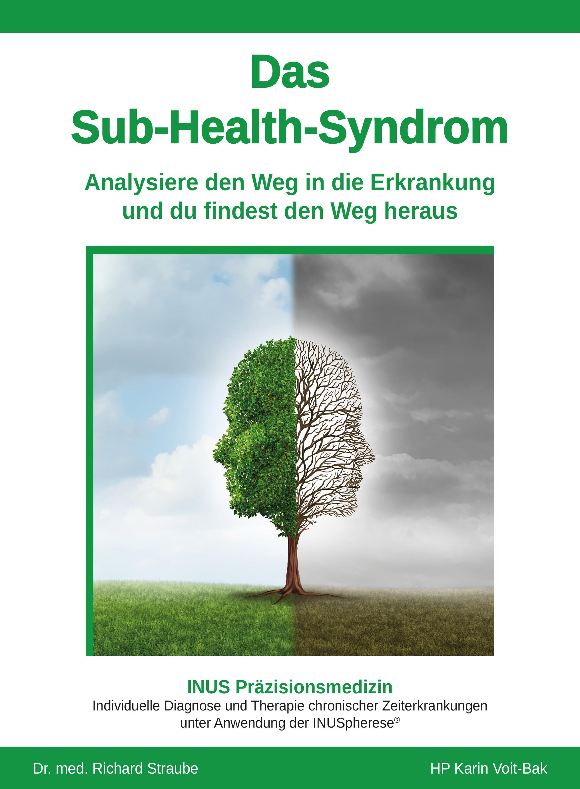 Vorderes Coverbild Das Sub-Health-Syndrom