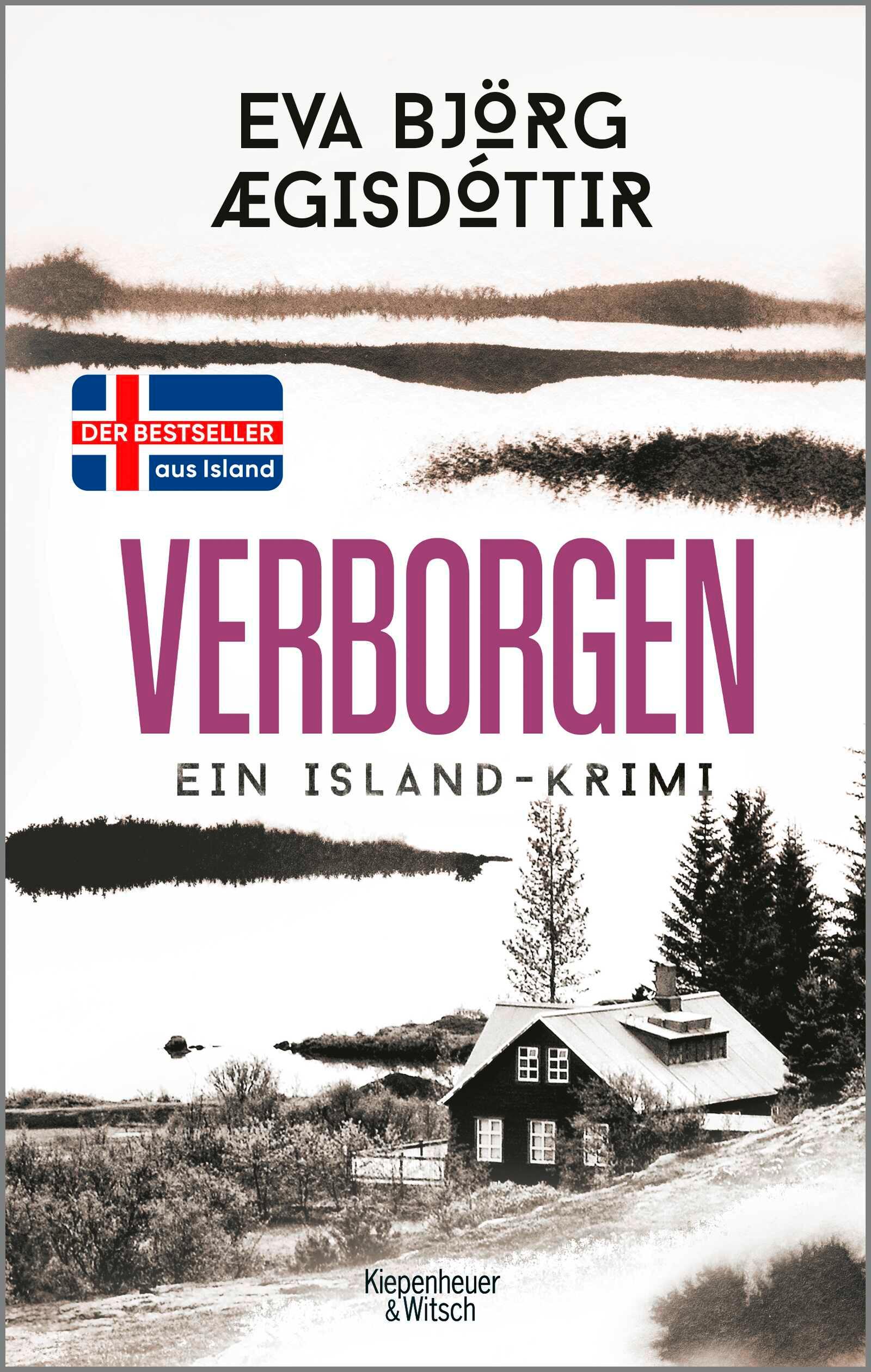 Vorderes Coverbild Verborgen