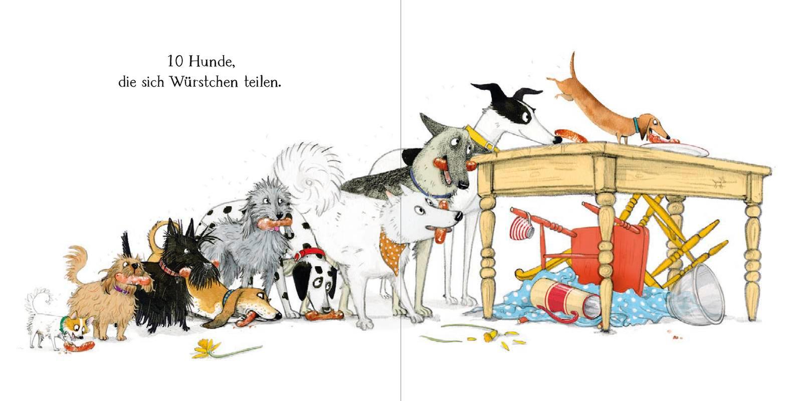 Beispielinhalt (Bild) 10 Hunde