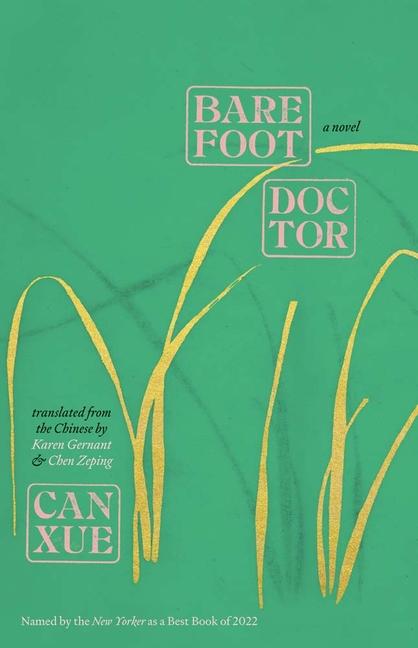 Vorderes Coverbild Barefoot Doctor
