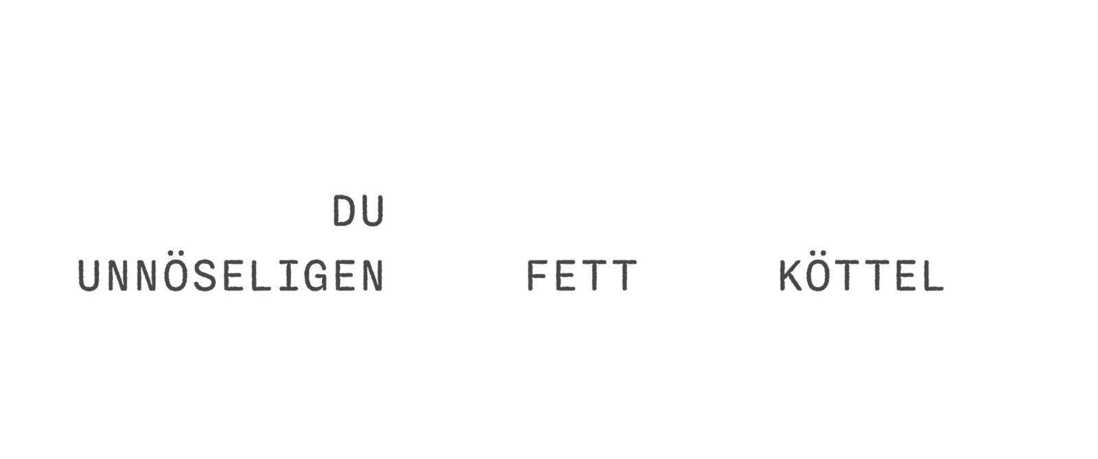 Beispielinhalt (Bild) Schimpf-O-Mat für den Norden