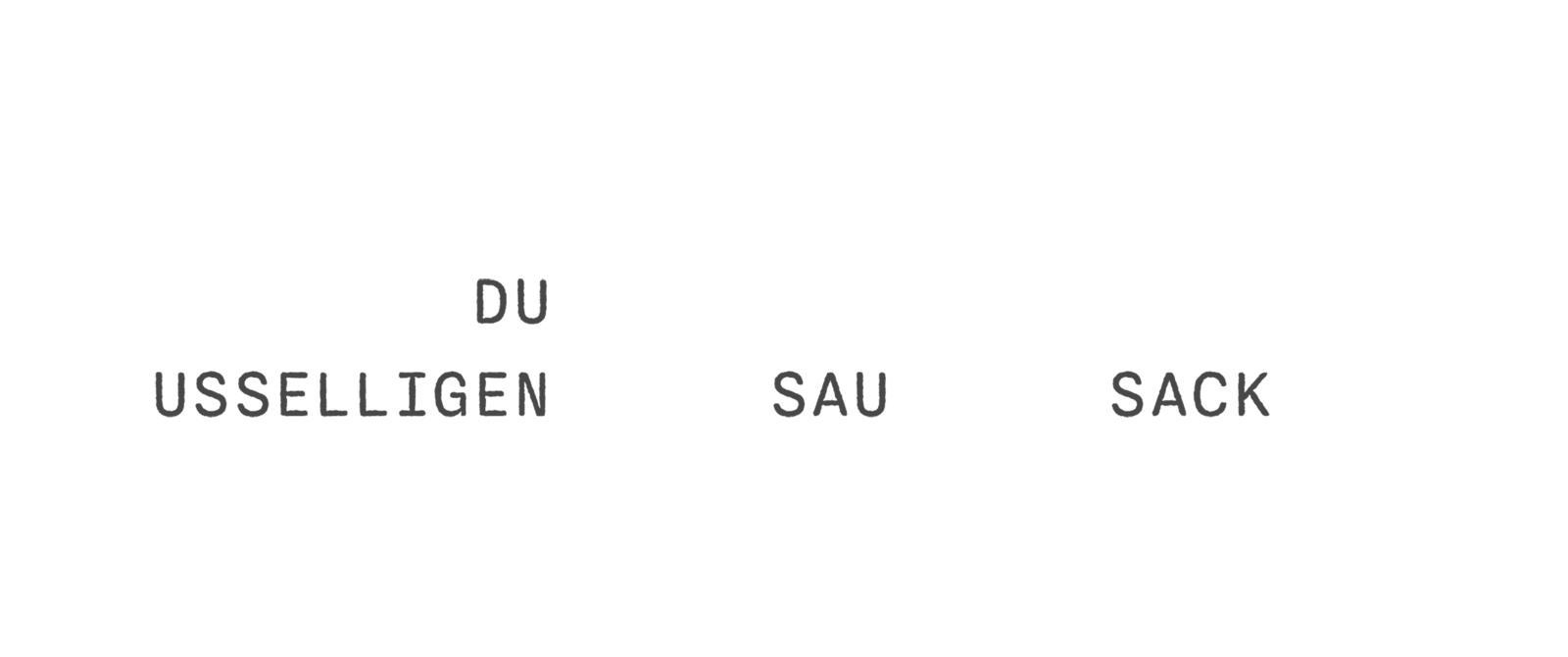 Beispielinhalt (Bild) Schimpf-O-Mat für den Norden