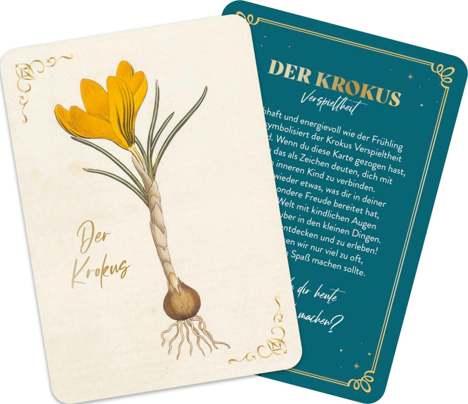 Beispielinhalt (Bild) Die geheimnisvolle Sprache der Blumen - 50 Orakelkarten für das ganze Jahr
