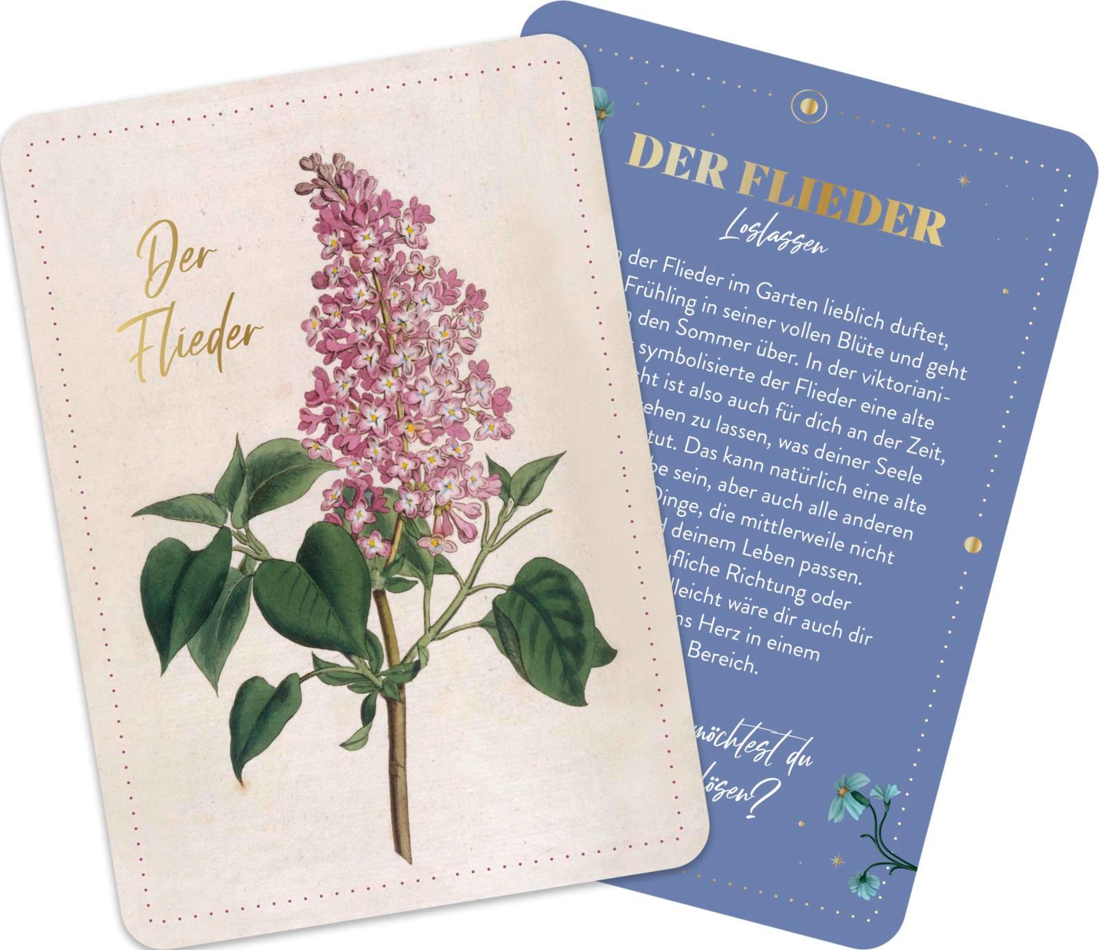 Beispielinhalt (Bild) Die geheimnisvolle Sprache der Blumen - 50 Orakelkarten für das ganze Jahr
