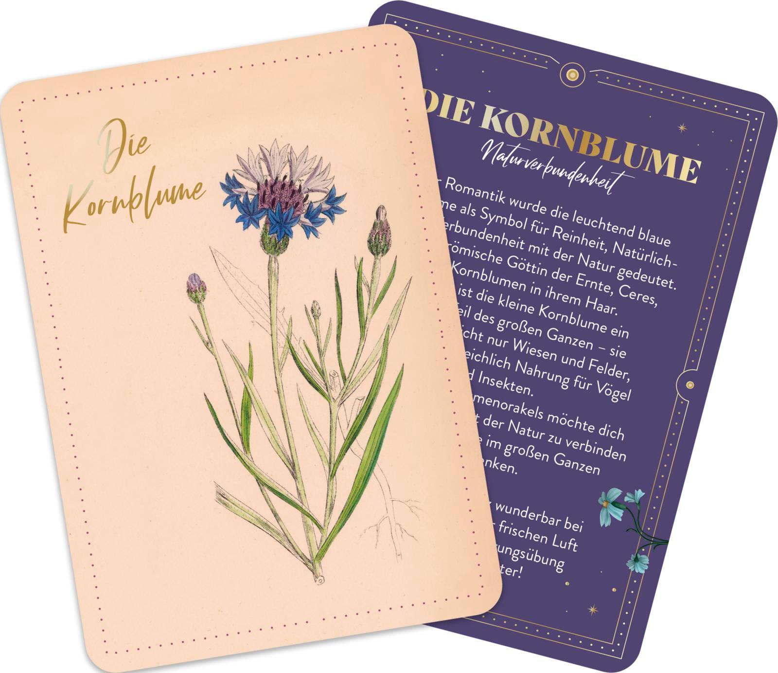 Beispielinhalt (Bild) Die geheimnisvolle Sprache der Blumen - 50 Orakelkarten für das ganze Jahr