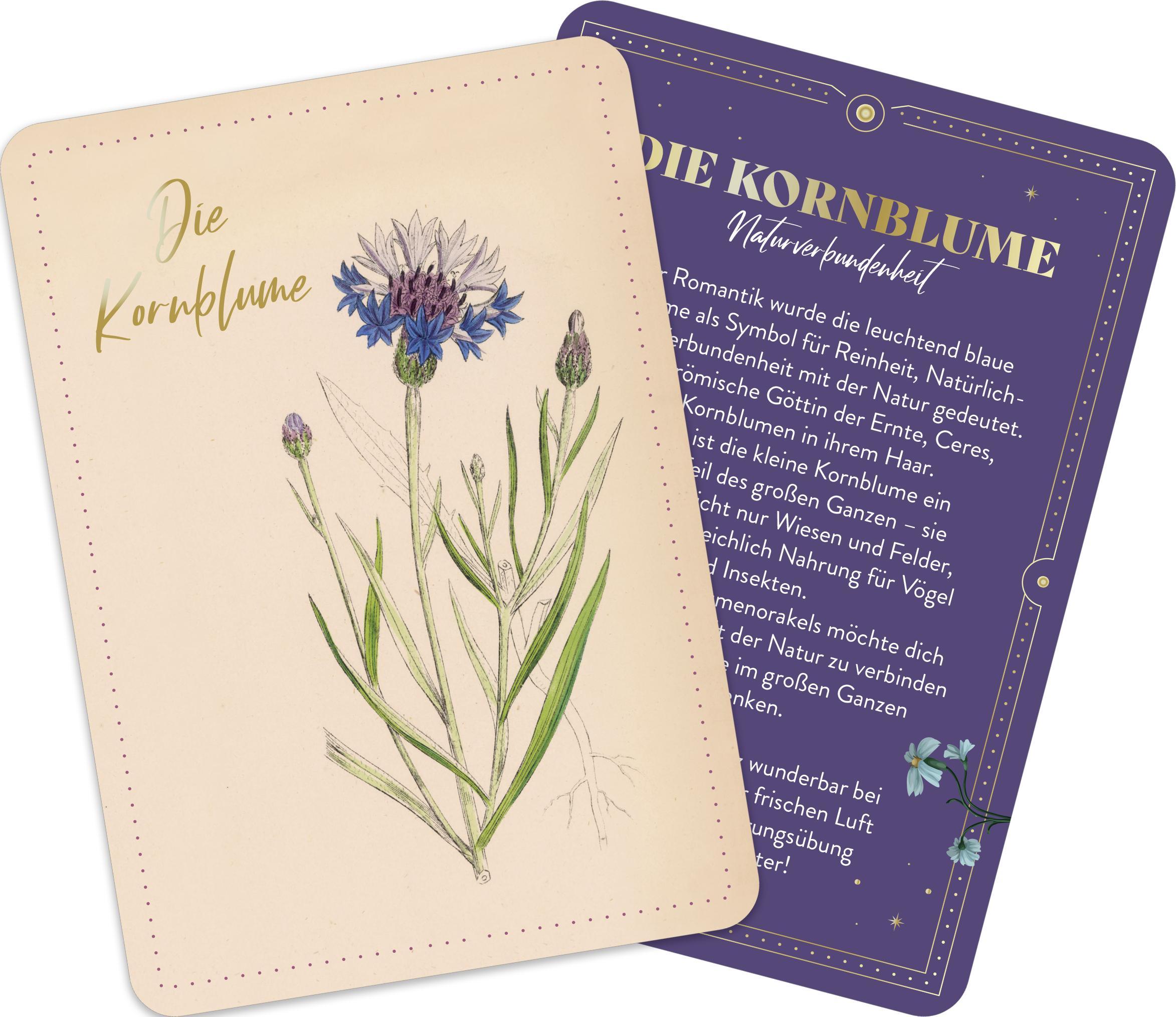 Beispielinhalt (Bild) Die geheimnisvolle Sprache der Blumen - 50 Orakelkarten für das ganze Jahr