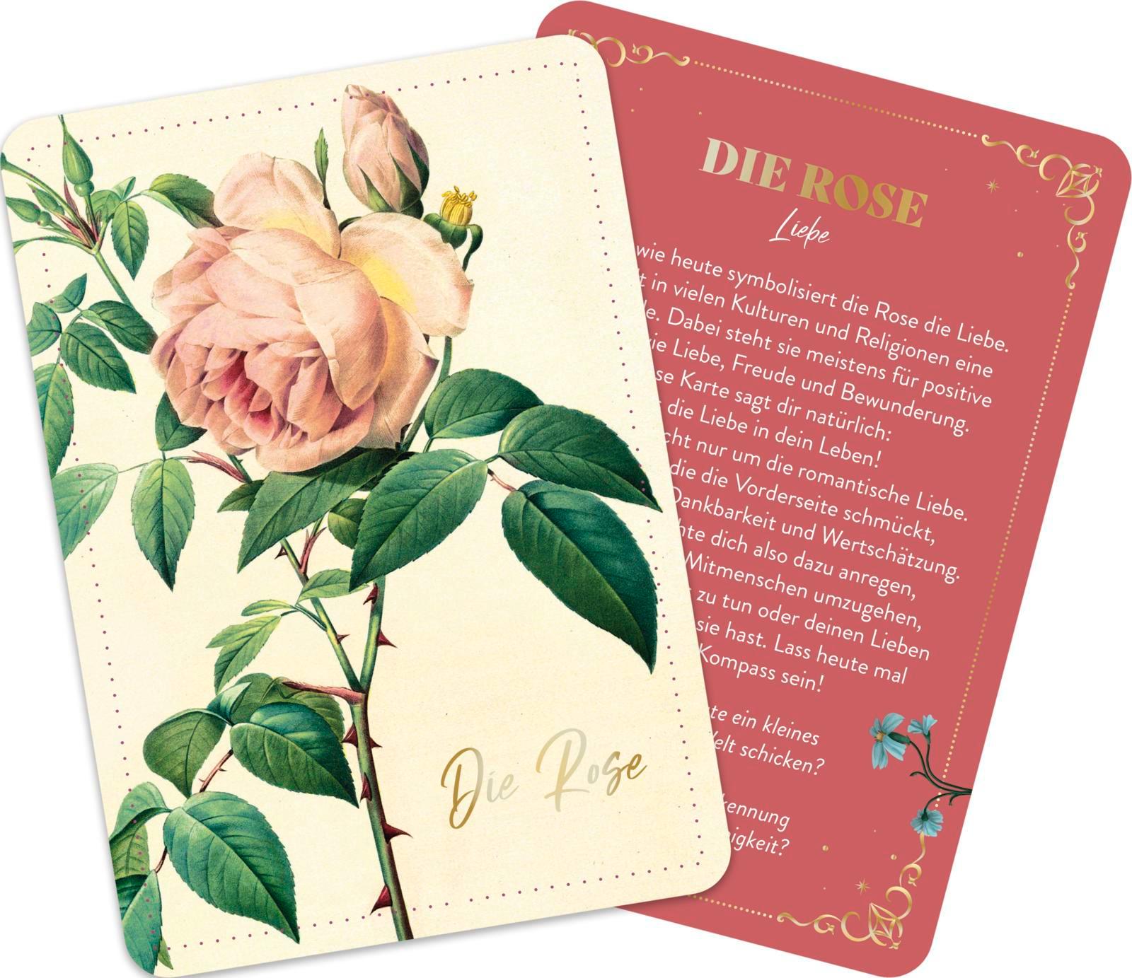 Beispielinhalt (Bild) Die geheimnisvolle Sprache der Blumen - 50 Orakelkarten für das ganze Jahr