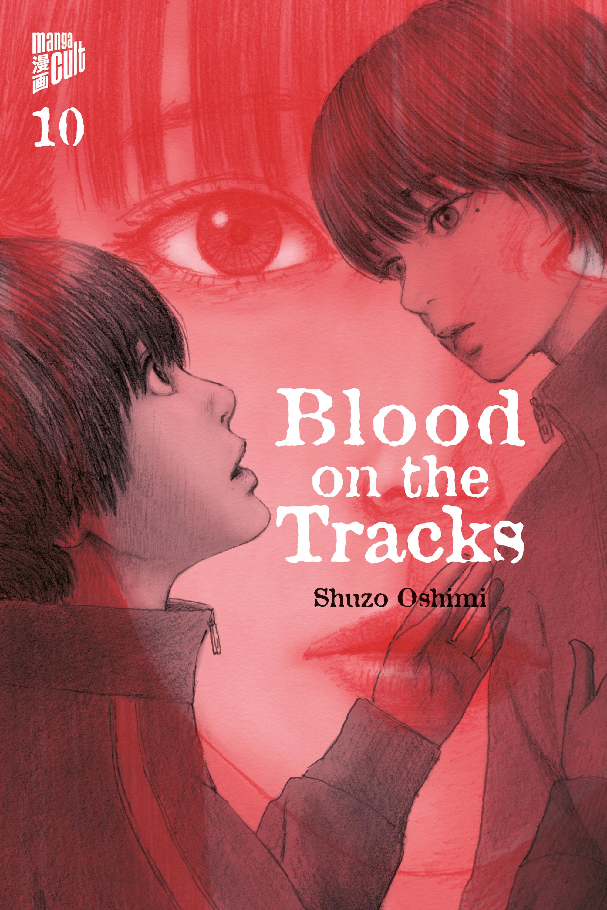 Vorderes Coverbild Blood on the Tracks 10