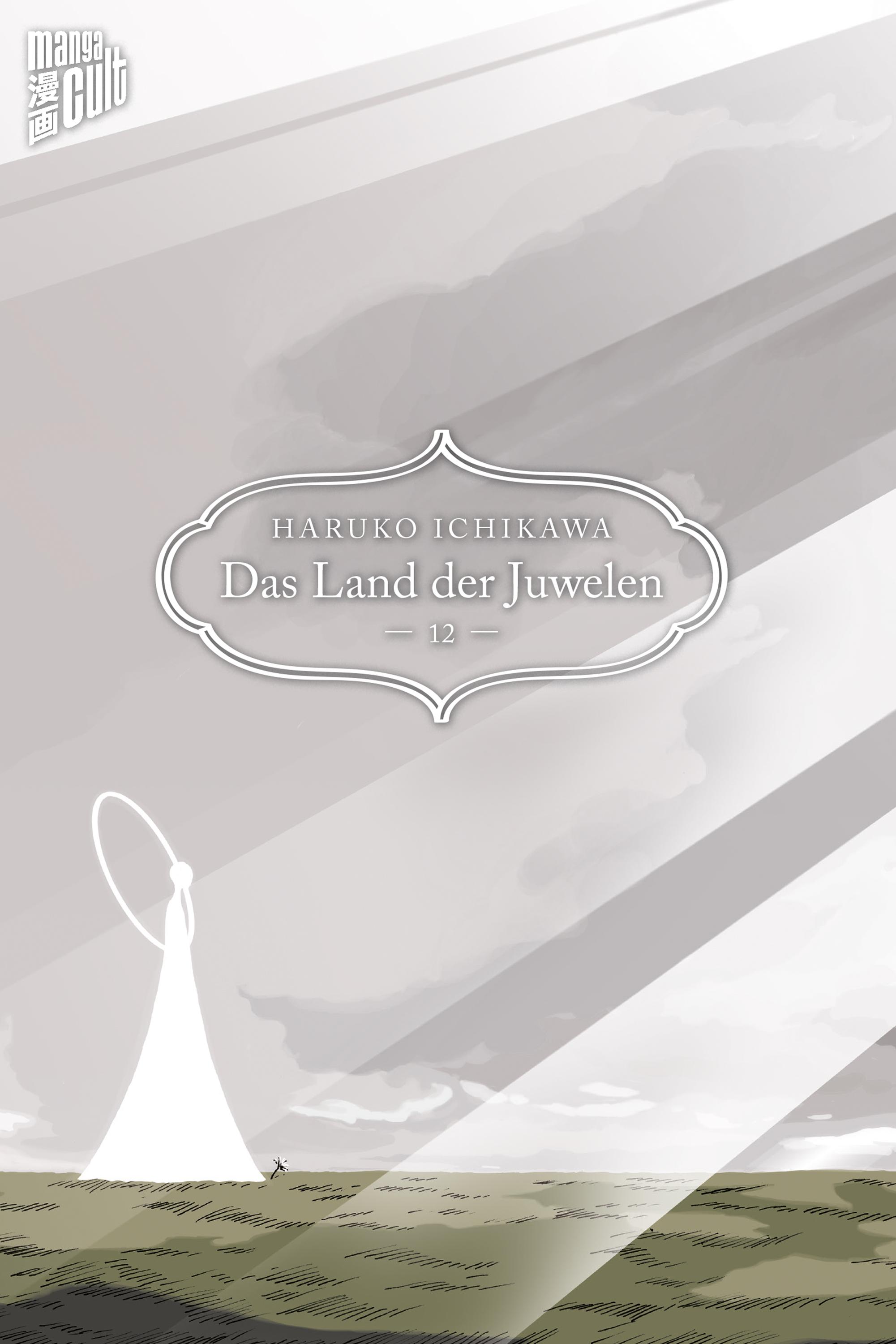 Vorderes Coverbild Das Land der Juwelen 12