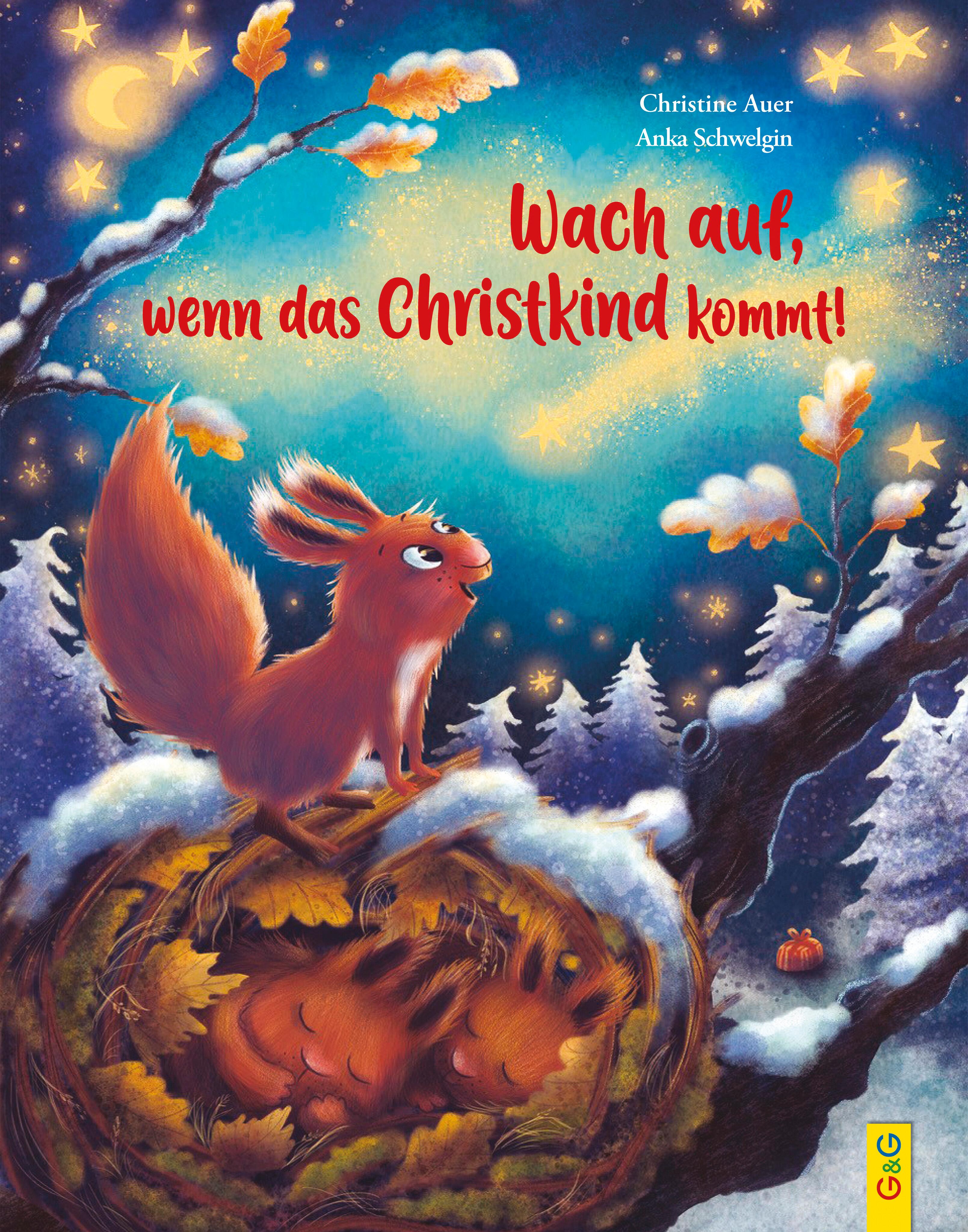 Vorderes Coverbild Wach auf, wenn das Christkind kommt!
