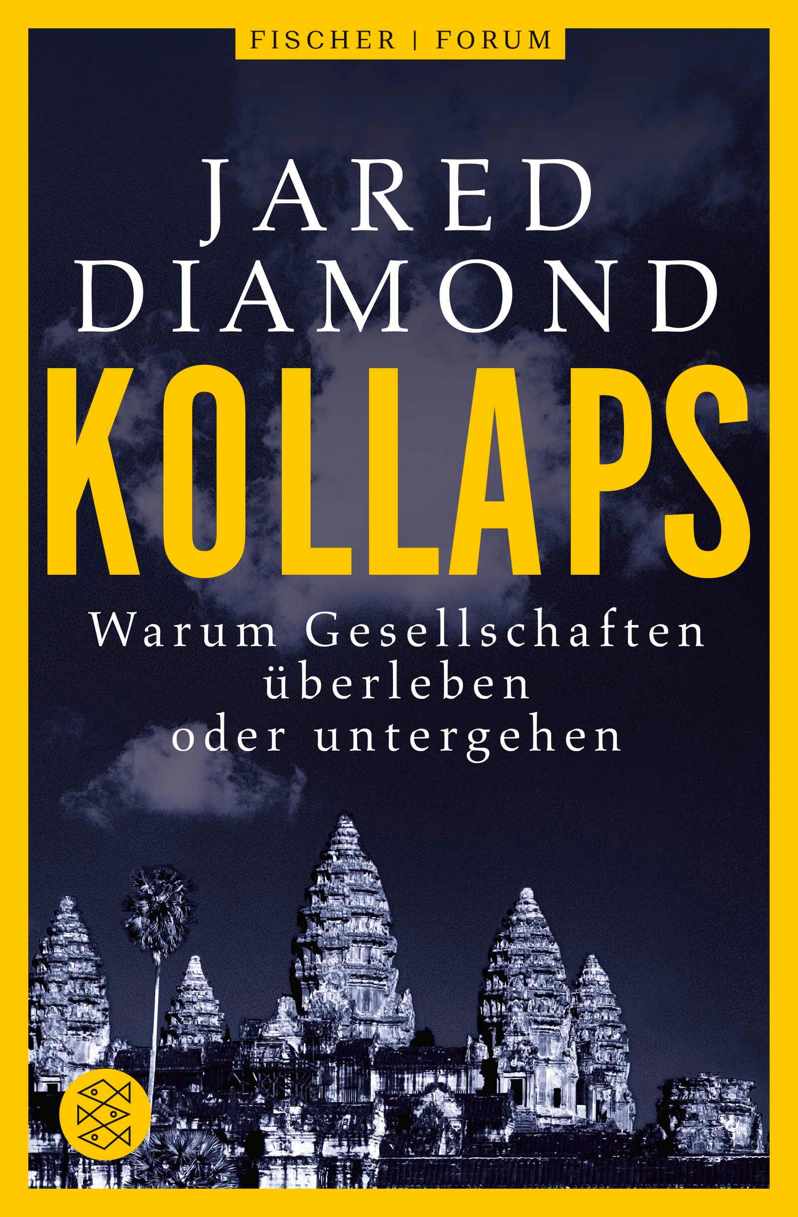 Vorderes Coverbild Kollaps