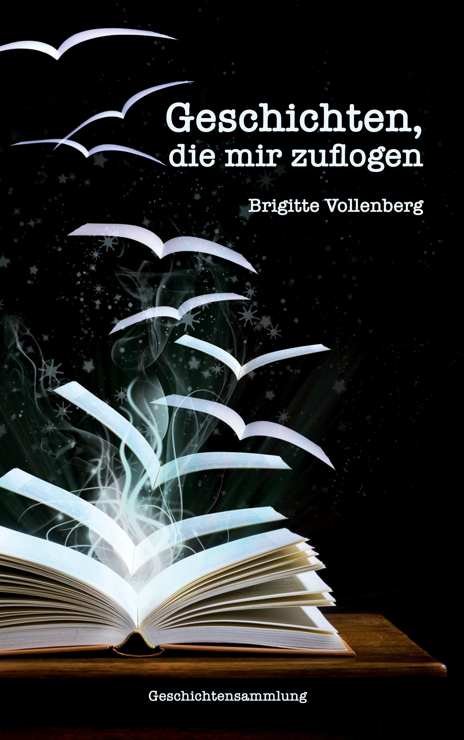 Vorderes Coverbild Geschichten, die mir zuflogen