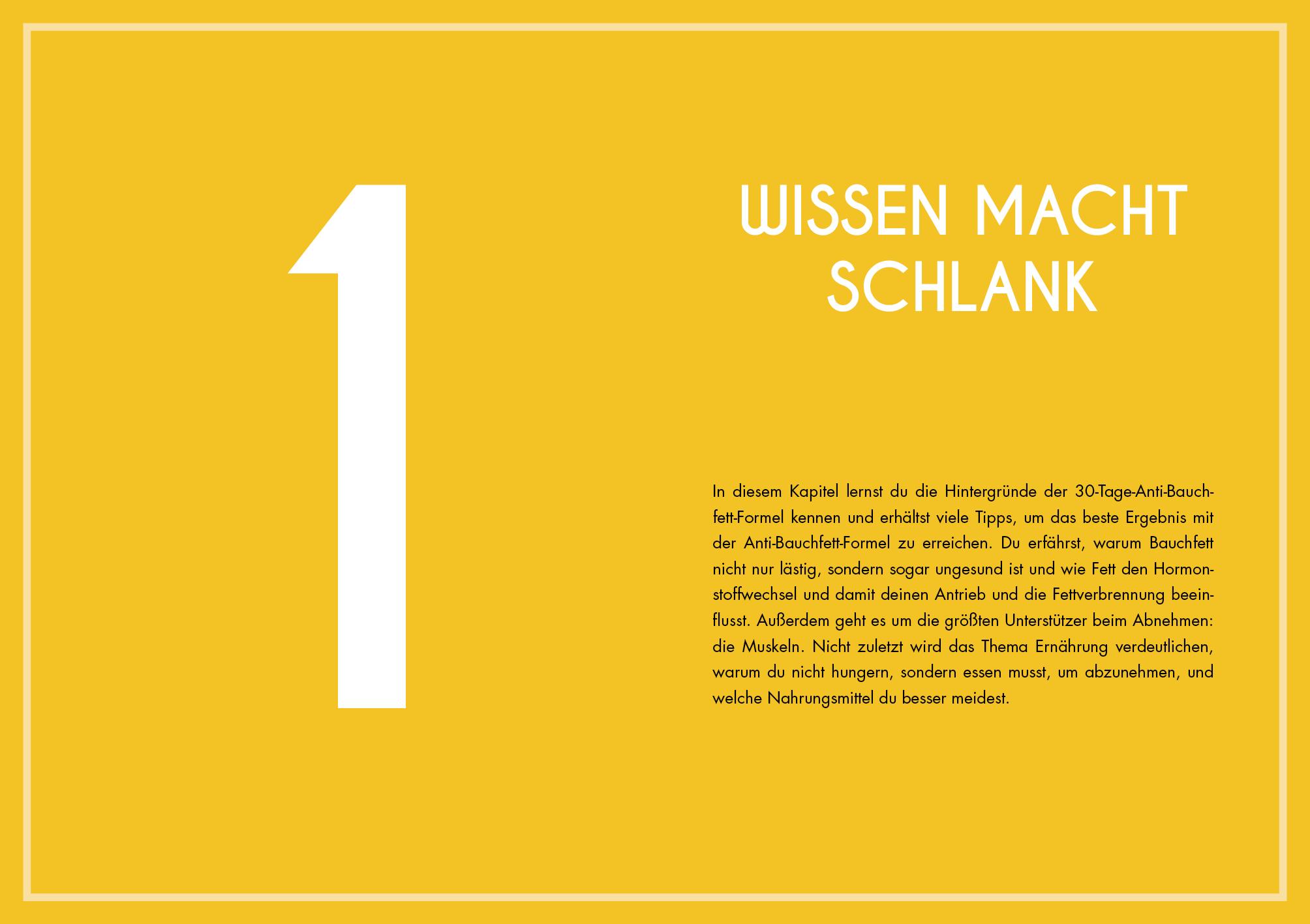 Beispielinhalt (Bild) Anti-Bauchfett-Formel