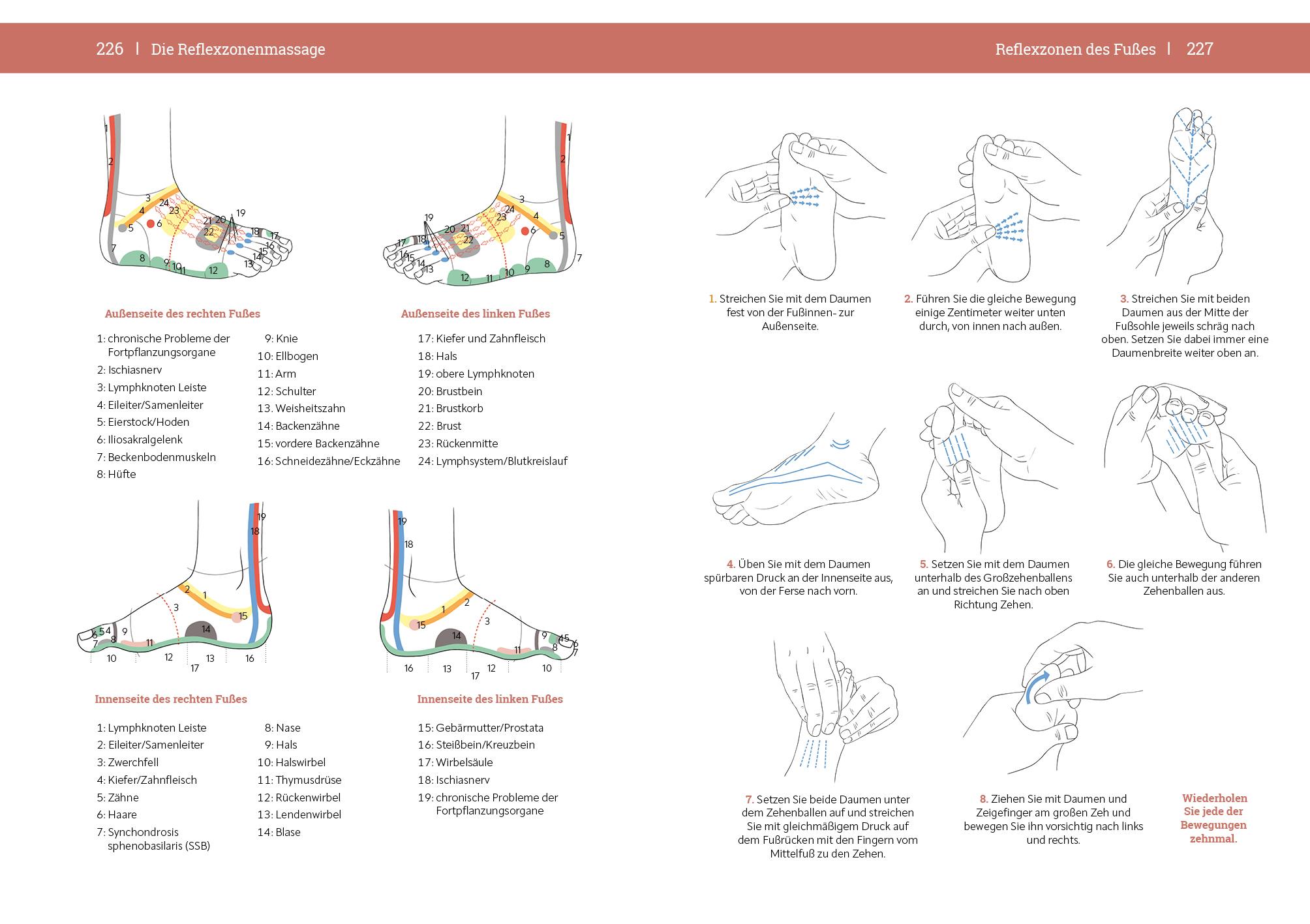 Beispielinhalt (Bild) Massage-Handbuch