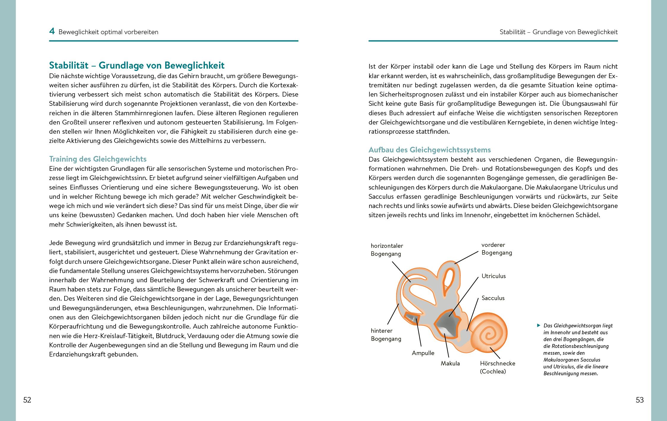 Beispielinhalt (Bild) Beweglichkeit beginnt im Gehirn