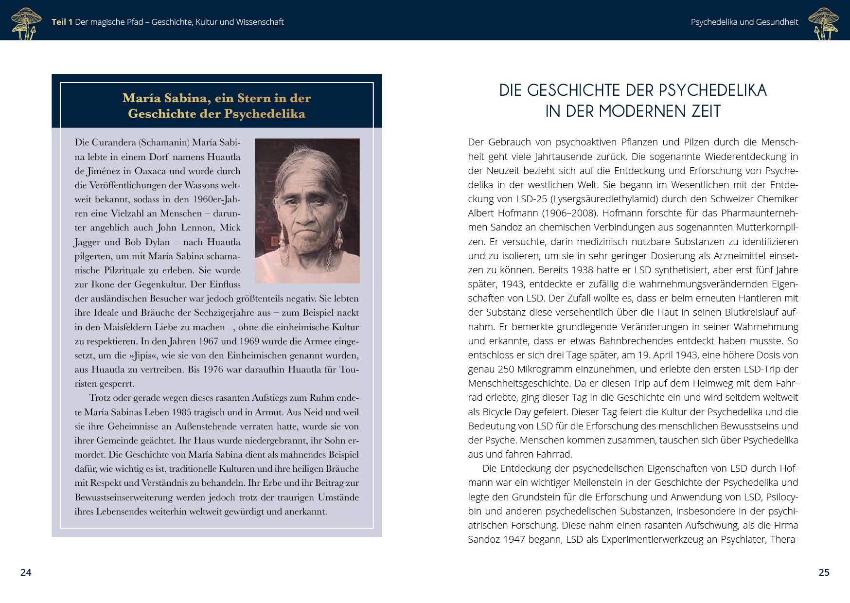 Beispielinhalt (Bild) Microdosing mit Psilocybin