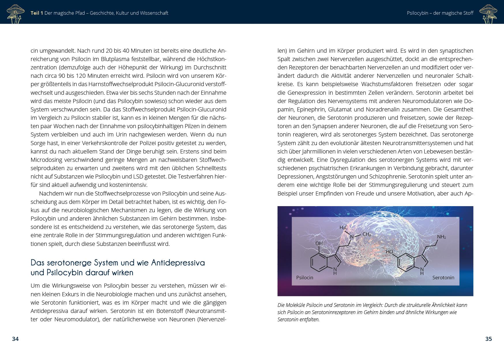 Beispielinhalt (Bild) Microdosing mit Psilocybin