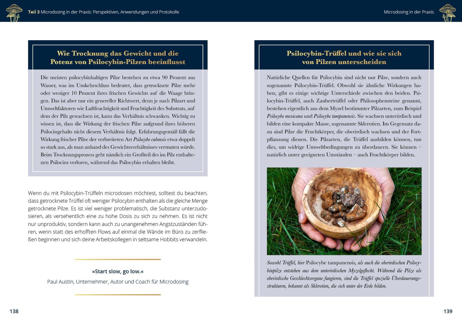 Beispielinhalt (Bild) Microdosing mit Psilocybin