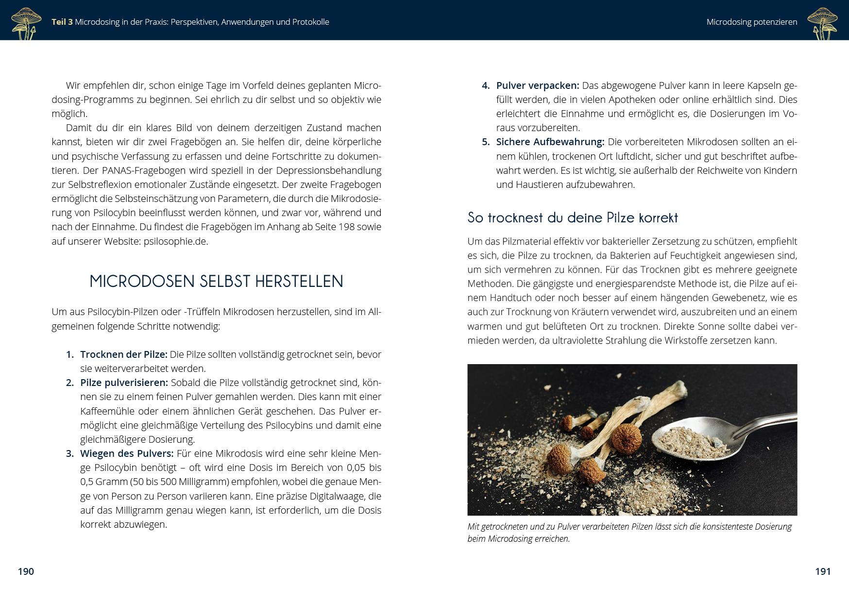 Beispielinhalt (Bild) Microdosing mit Psilocybin
